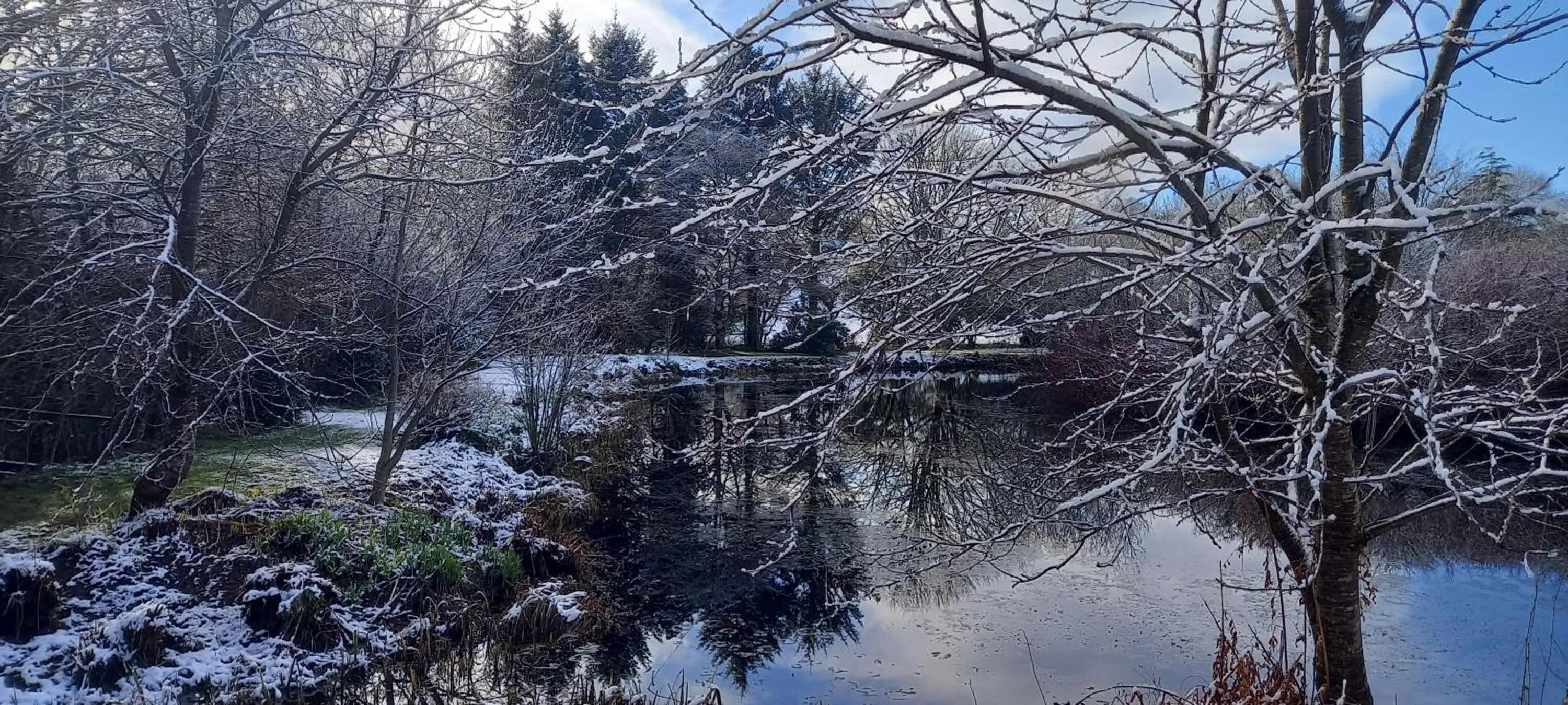 Winter in Polgwedhen Lodge