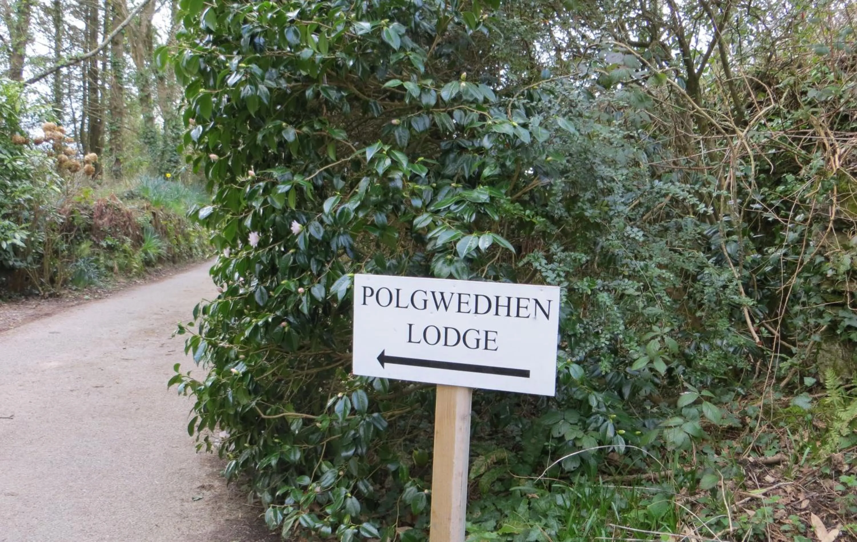 Property logo or sign in Polgwedhen Lodge