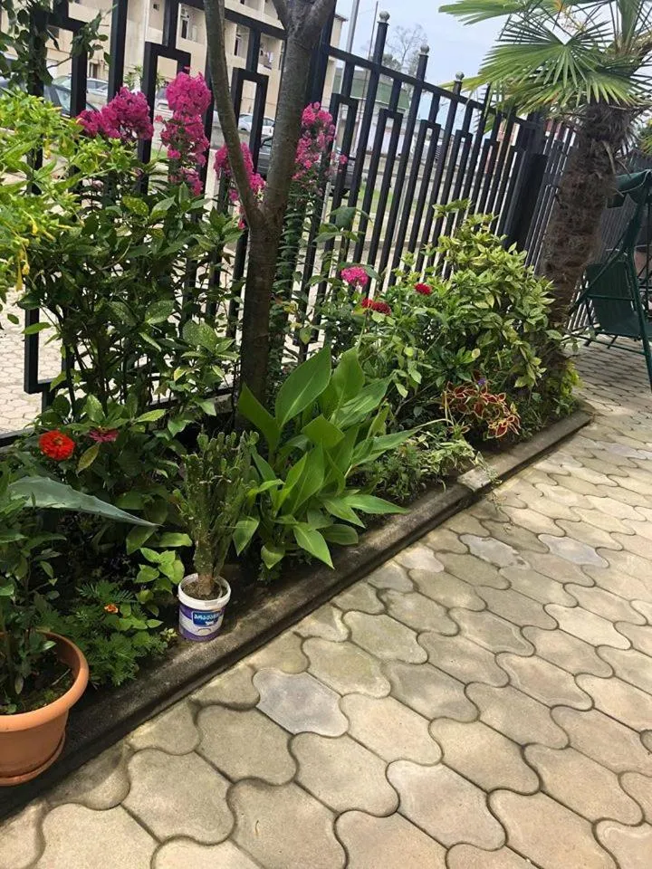 Garden in Tornado Hotel