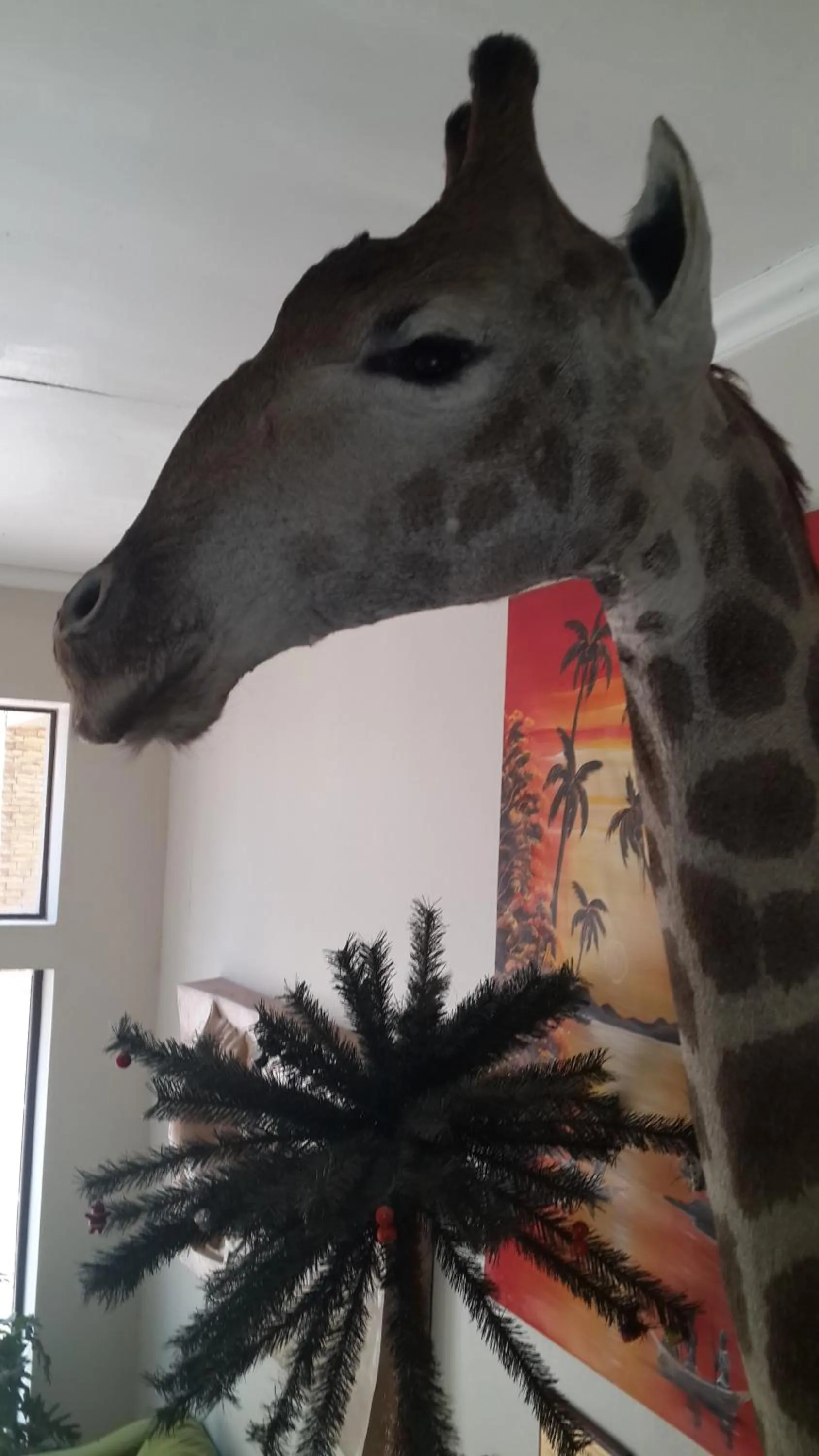 Decorative detail in Palm Valley Inn And Day Spa