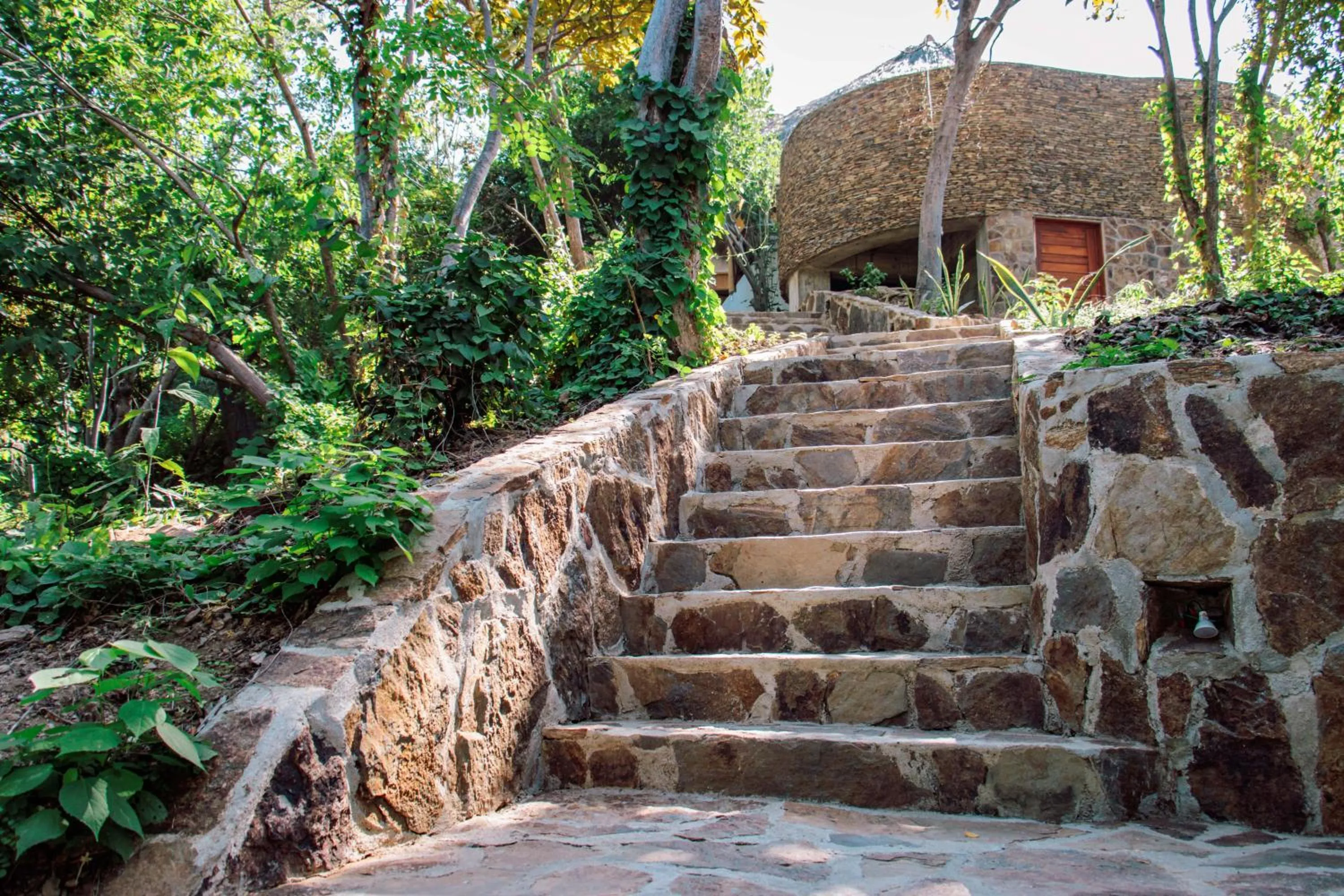 Garden view in Hotel Ruunda