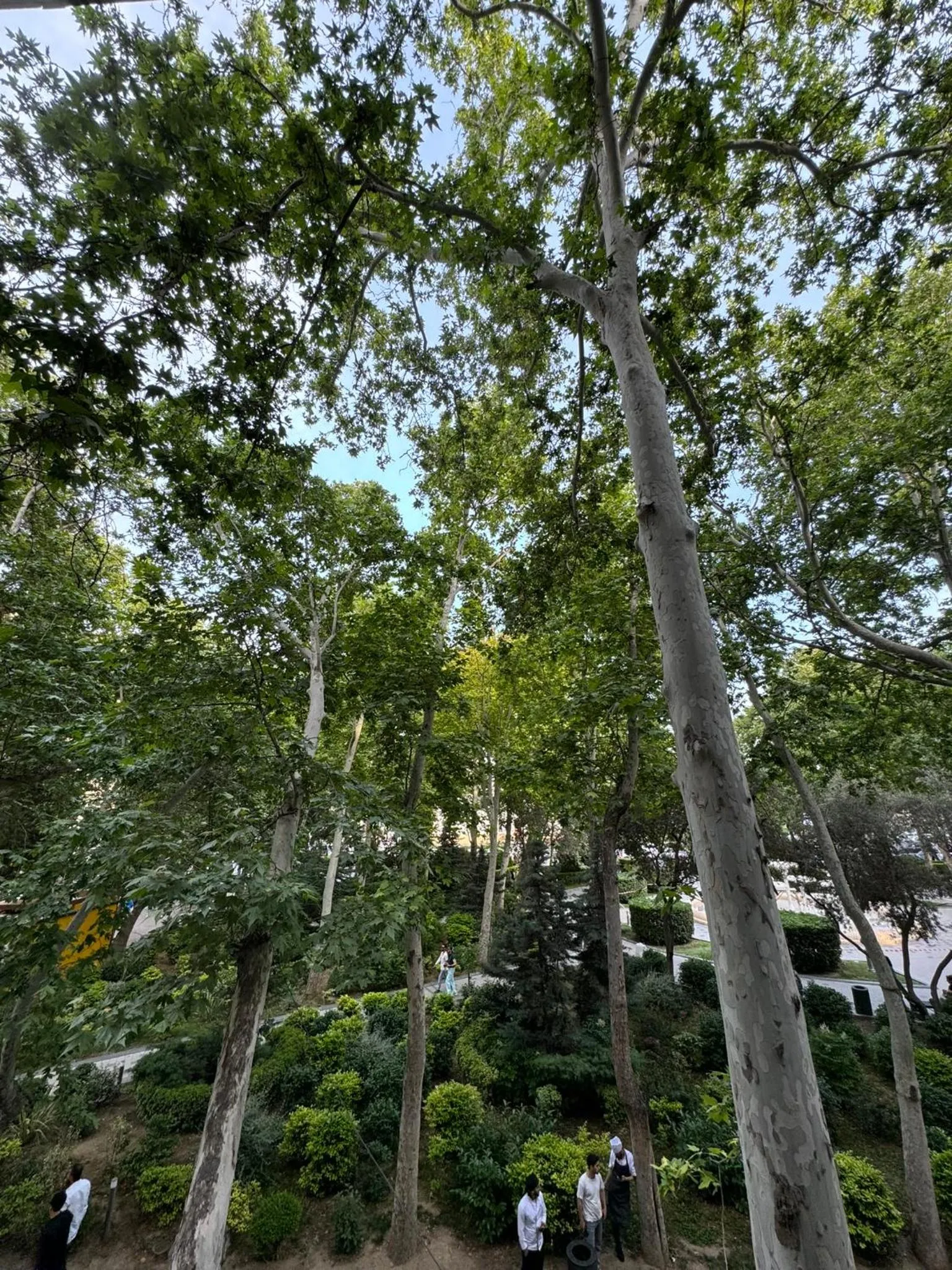 Zimmer Boutique Hotel