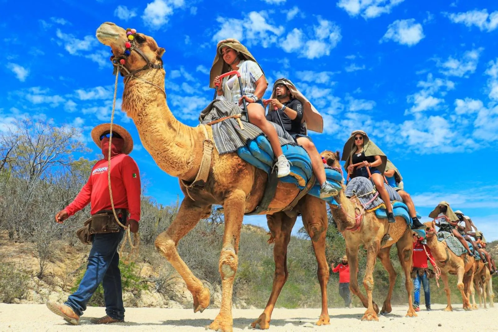 Morgan Hotel Boutique & Residences, Los Cabos