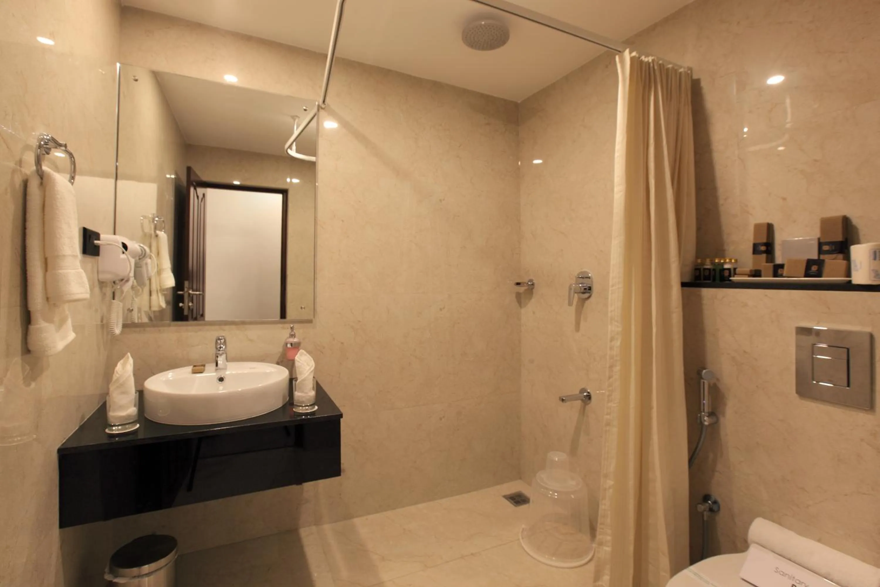 Standard Double Room - single occupancy in HOTEL PRINCE