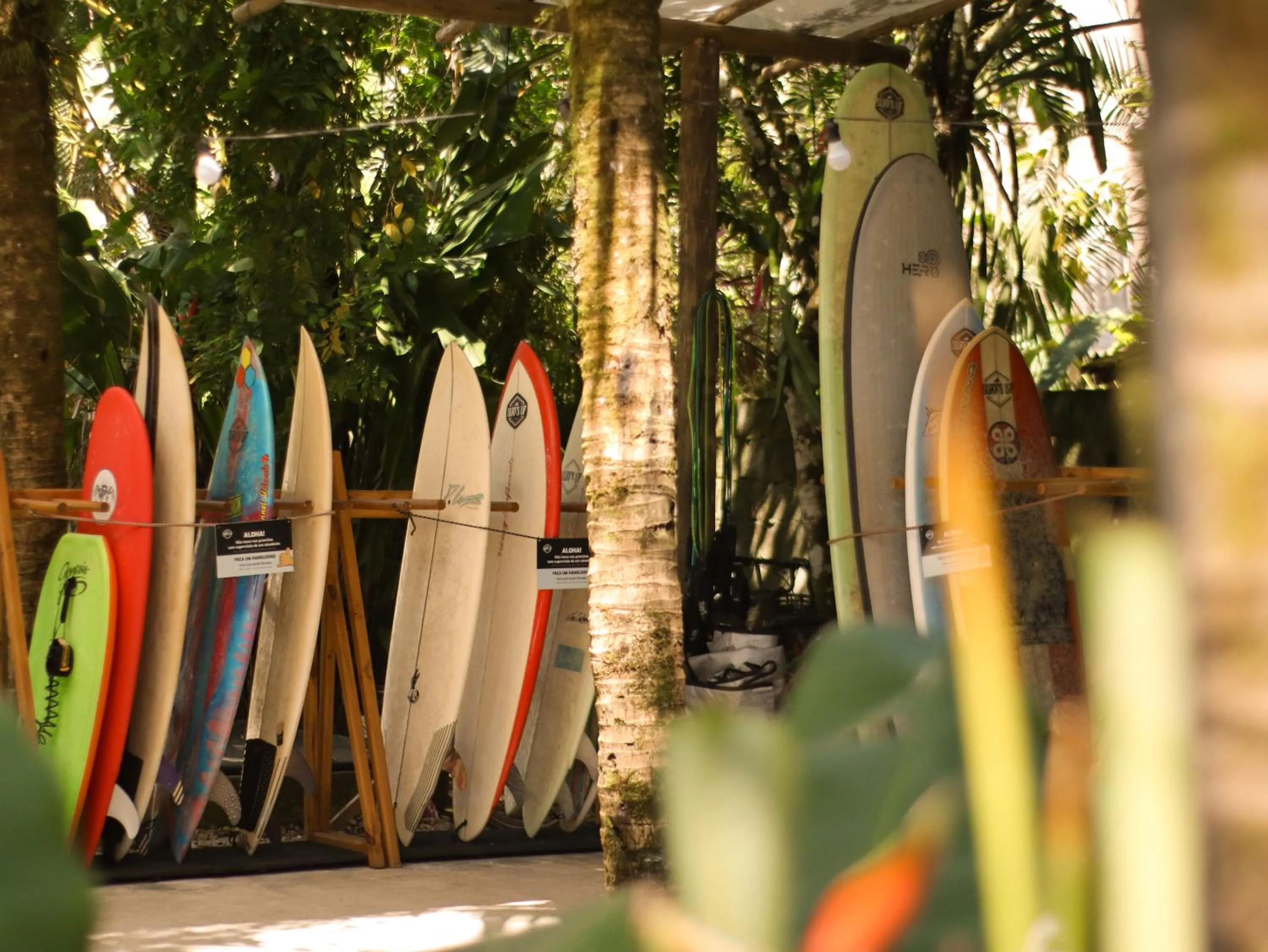 Garden in Pousada e Hostel Marthi