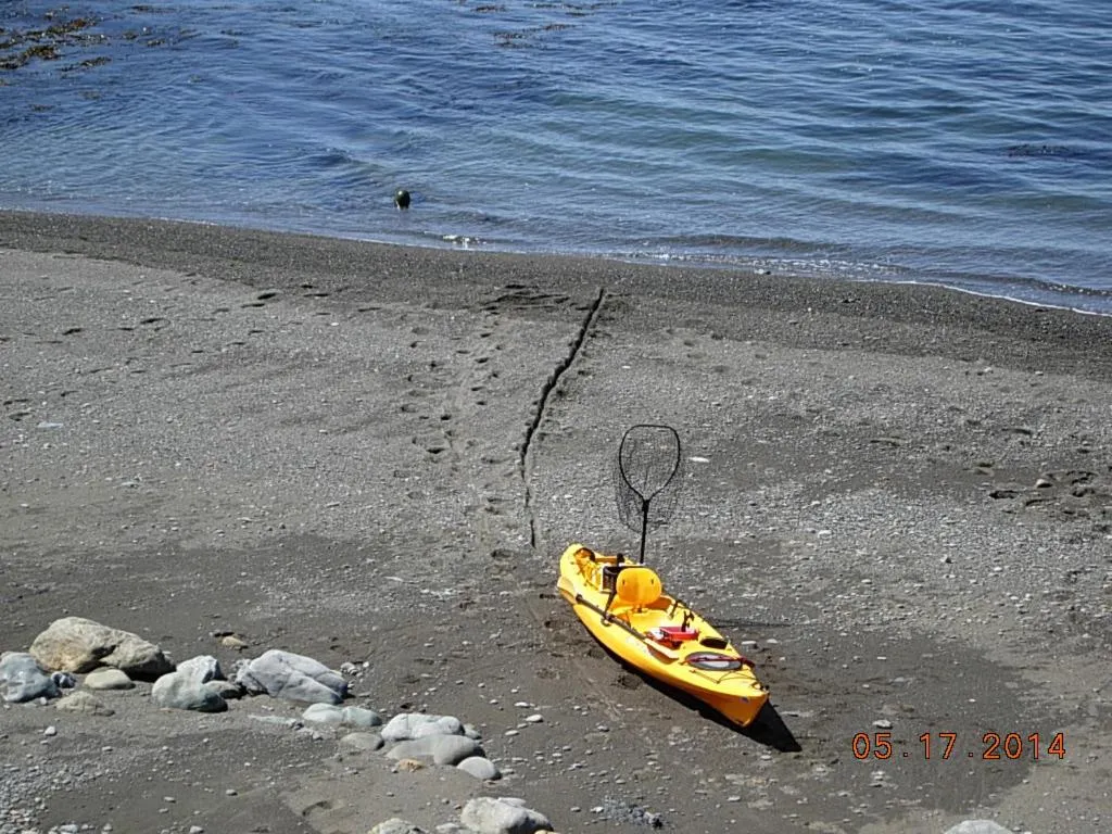 Activities in The Oceanfront Inn