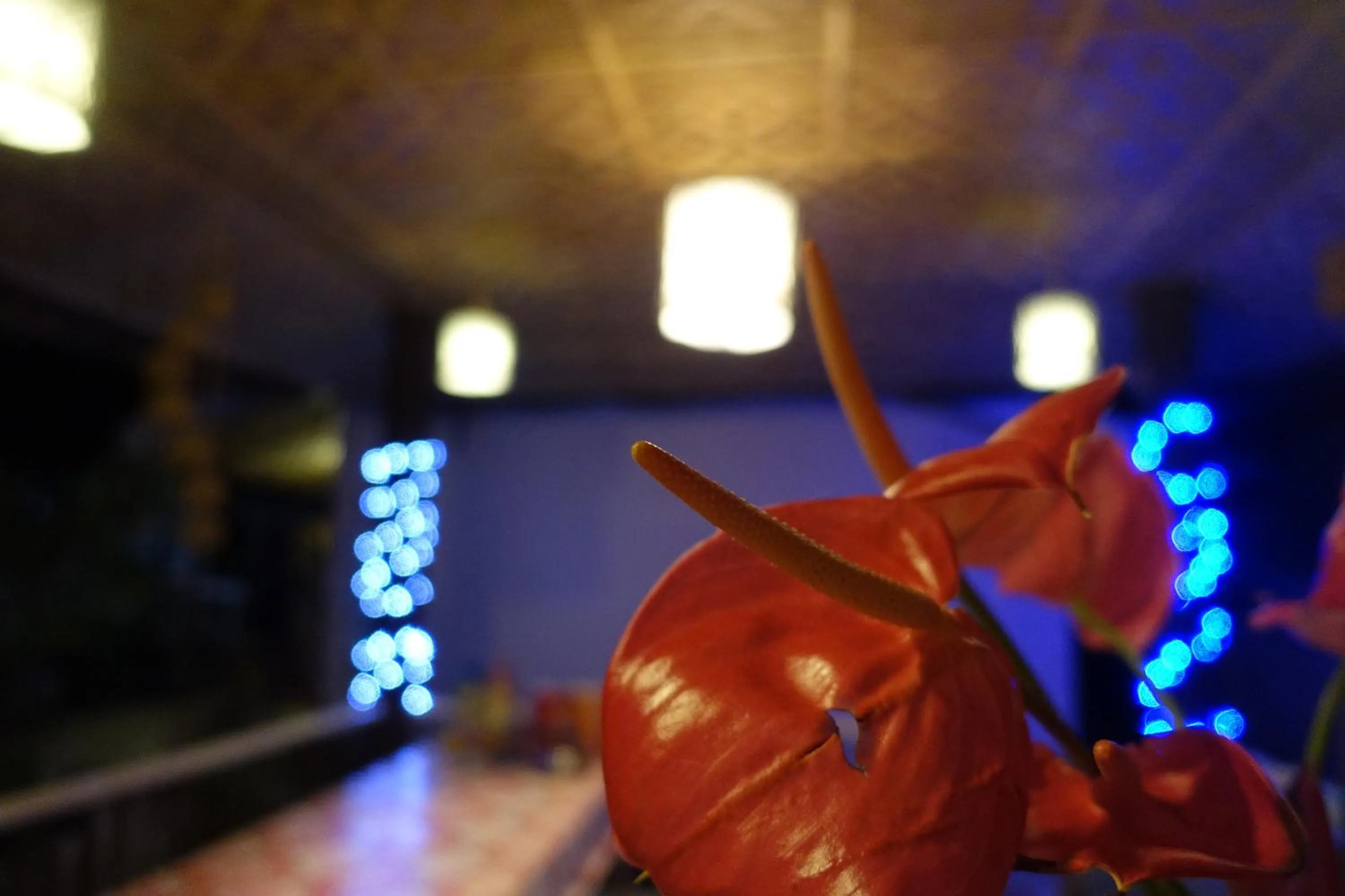 Lobby or reception in New Village Lodge