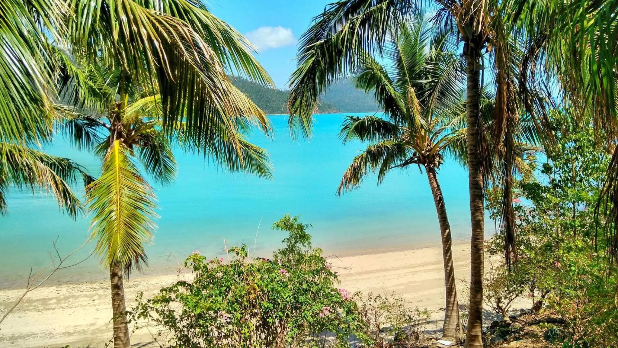 Sea view in Palm Bay Resort