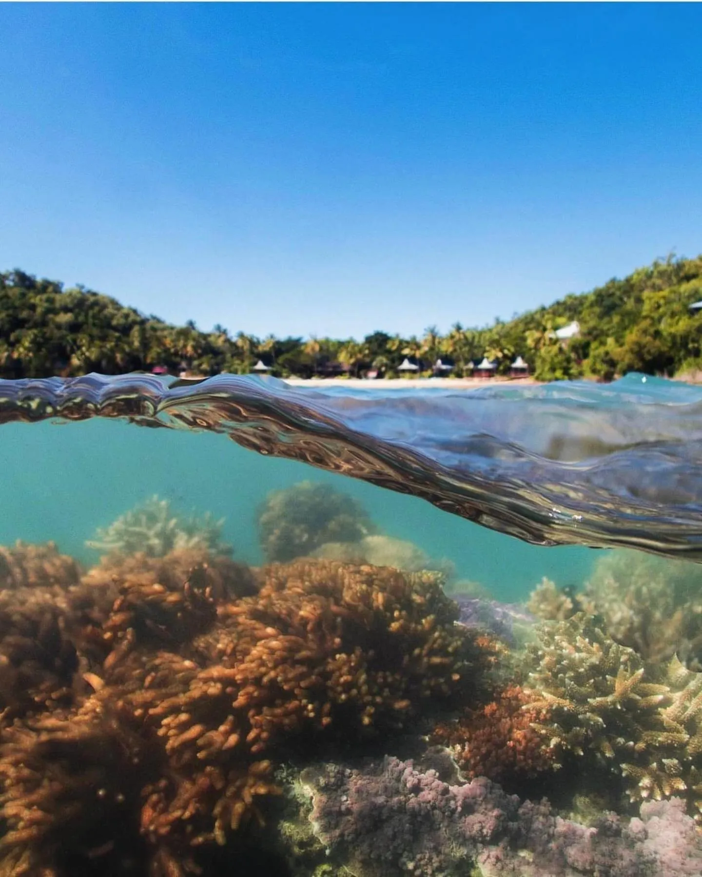 Day in Palm Bay Resort