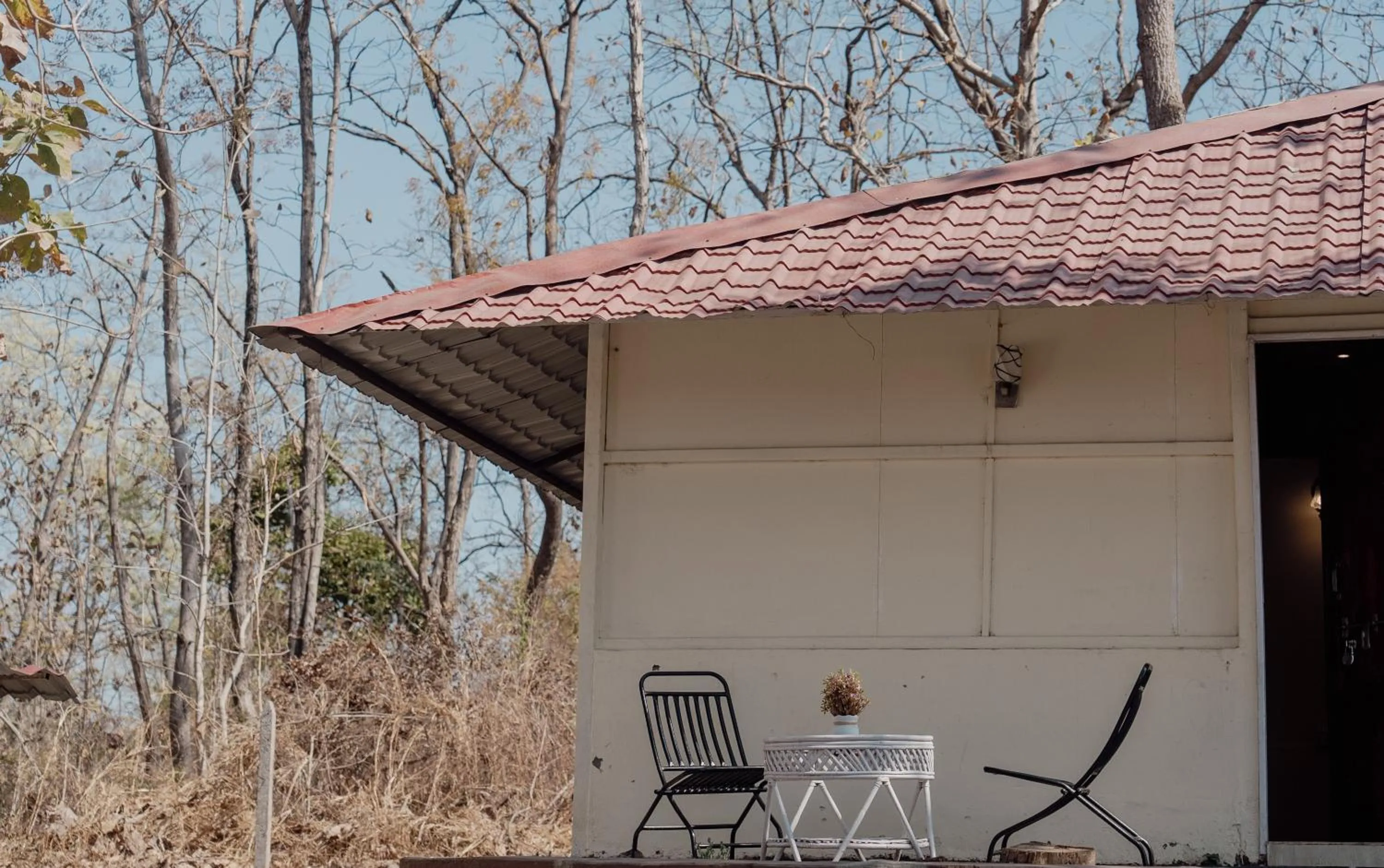Property building in Wild Woods Tiger Resort