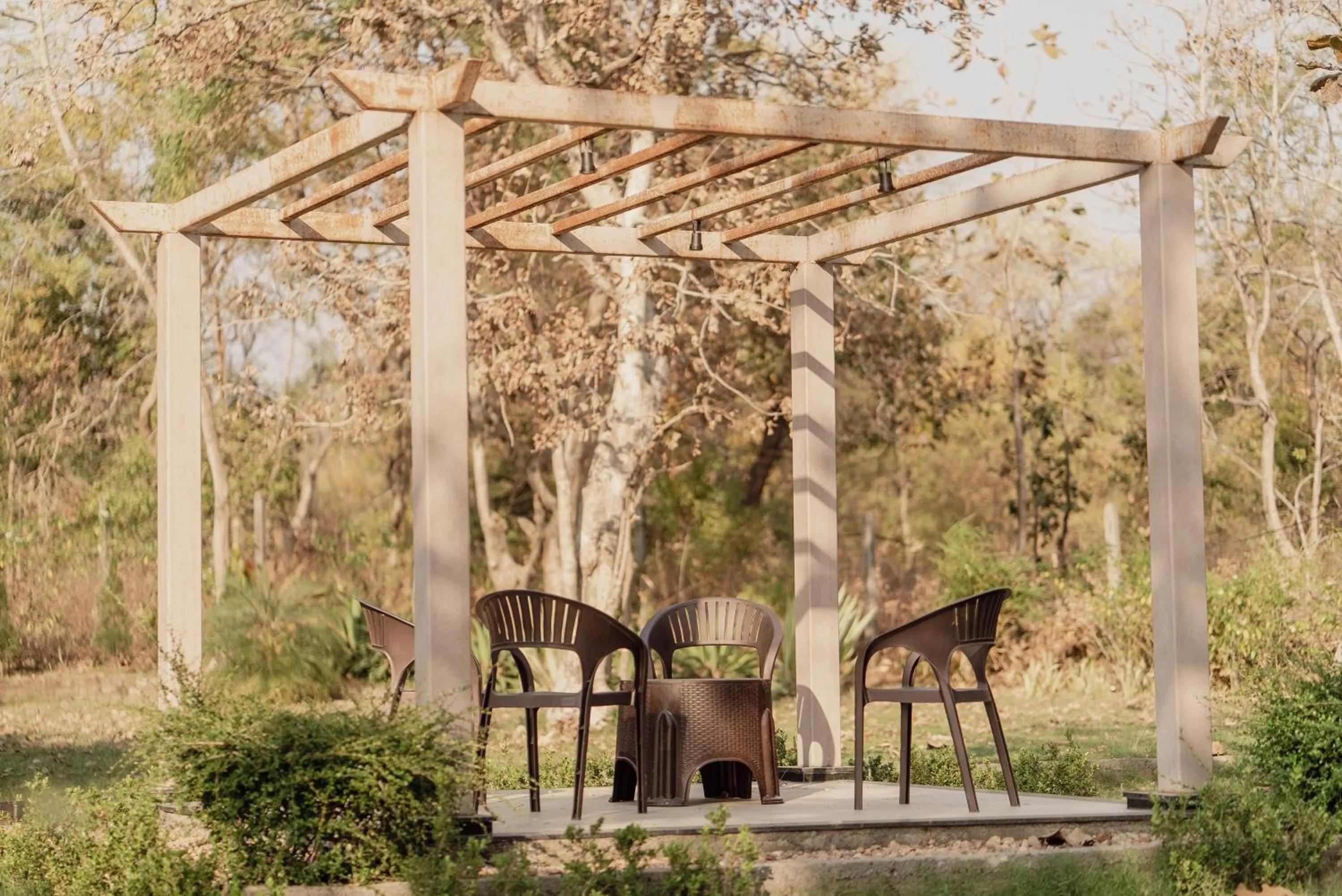 Wild Woods Tiger Resort