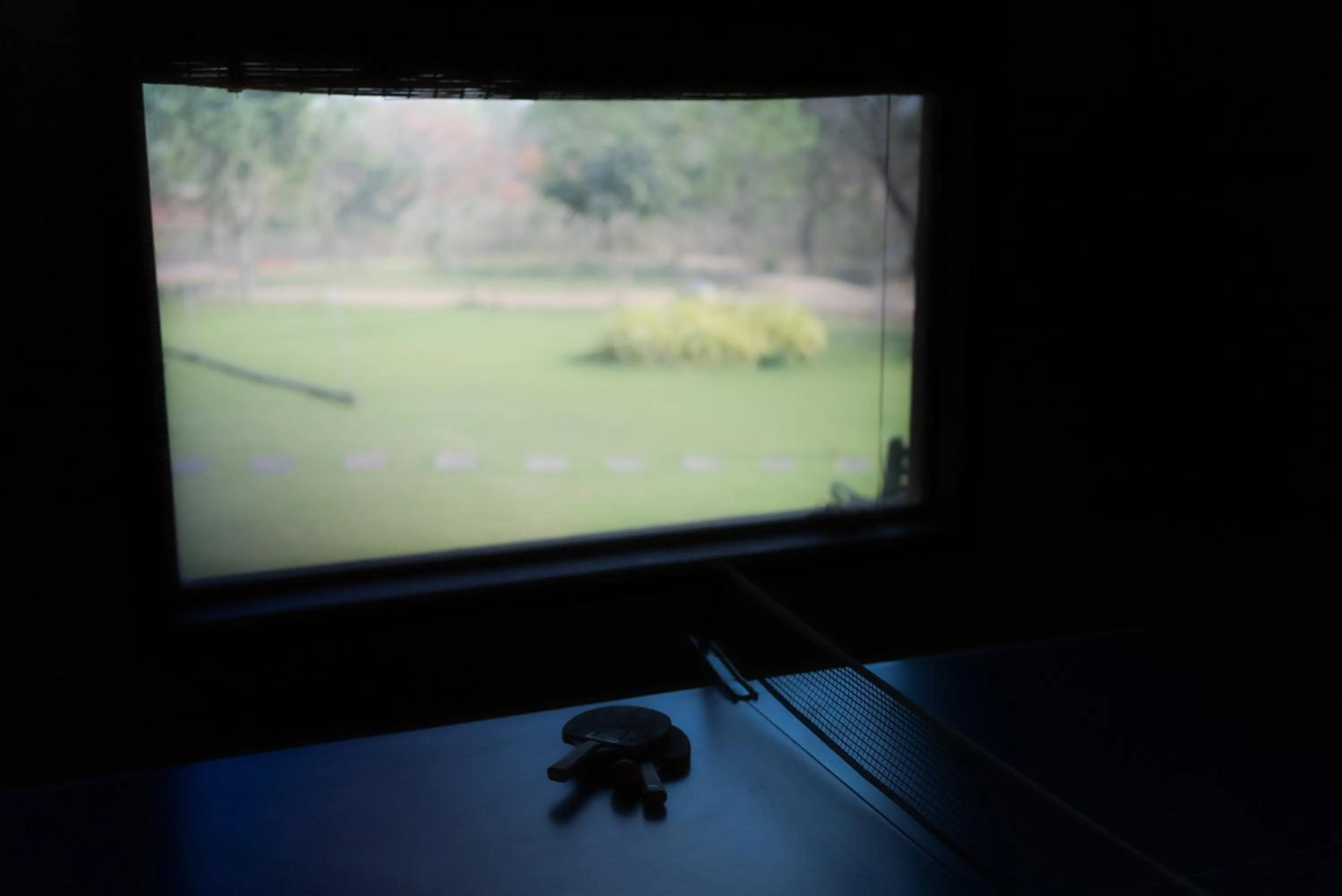 Game Room in Wild Woods Tiger Resort