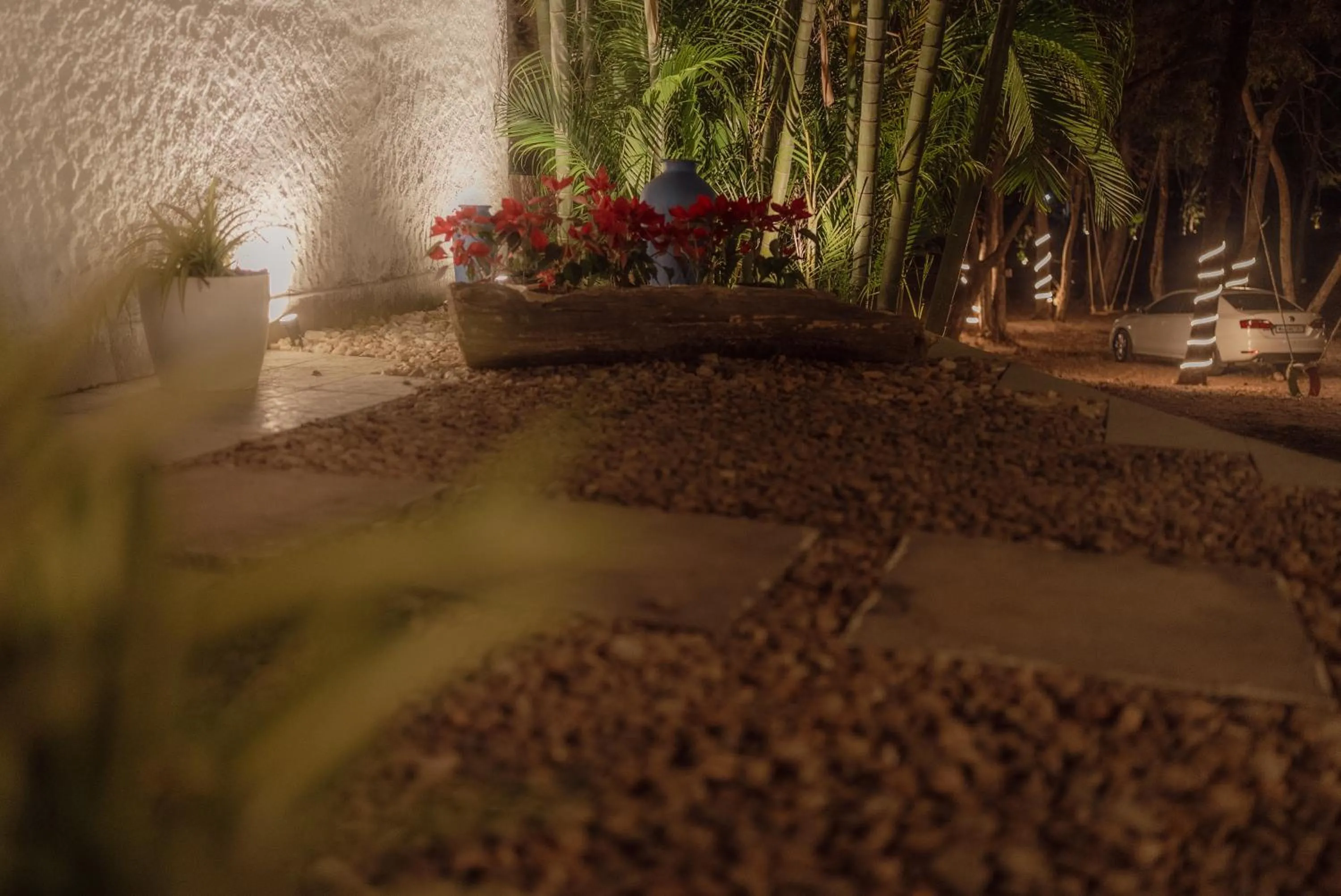 Garden in Wild Woods Tiger Resort