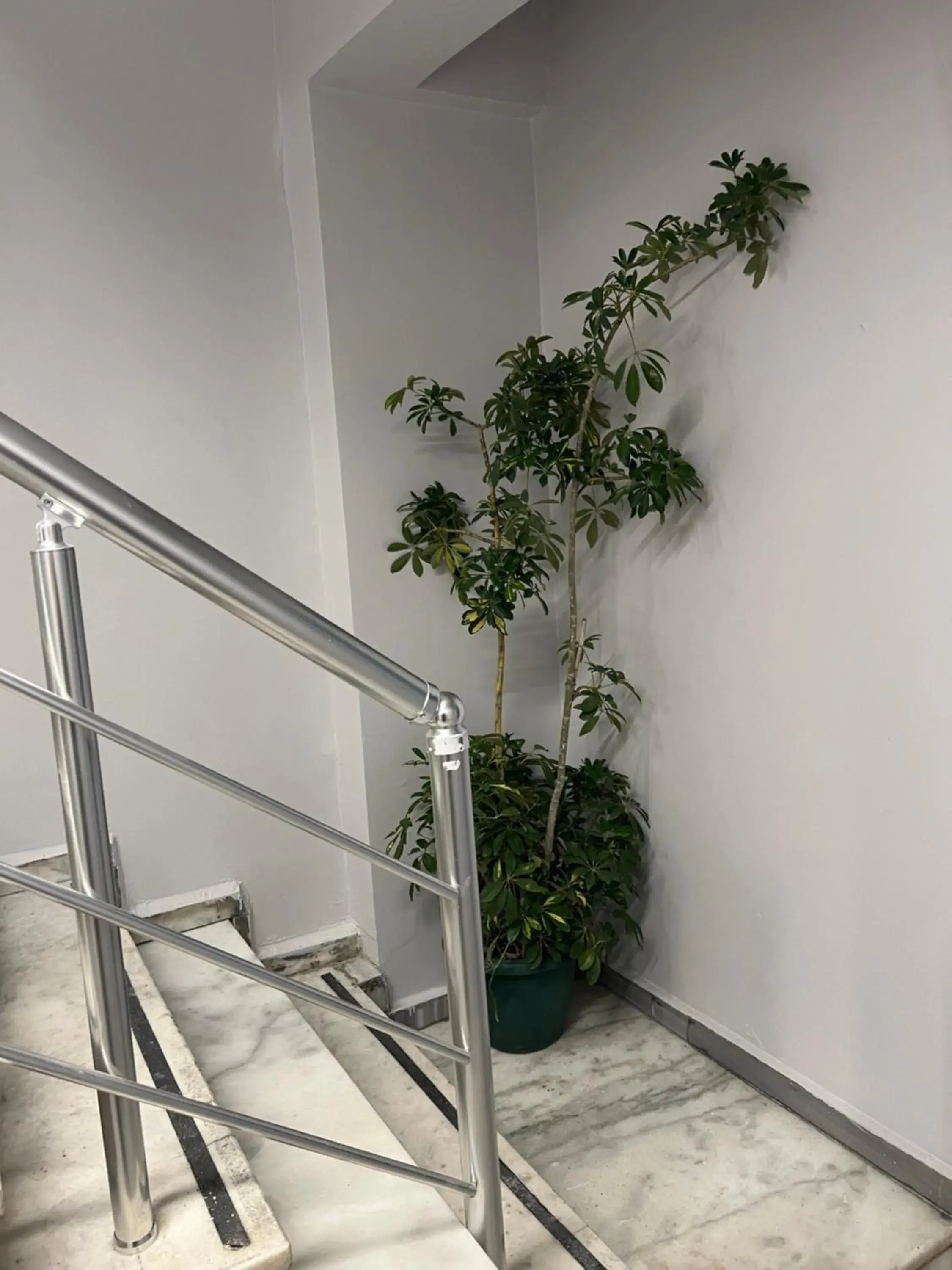 Galata Inn Hotel Galata Inn Hotel