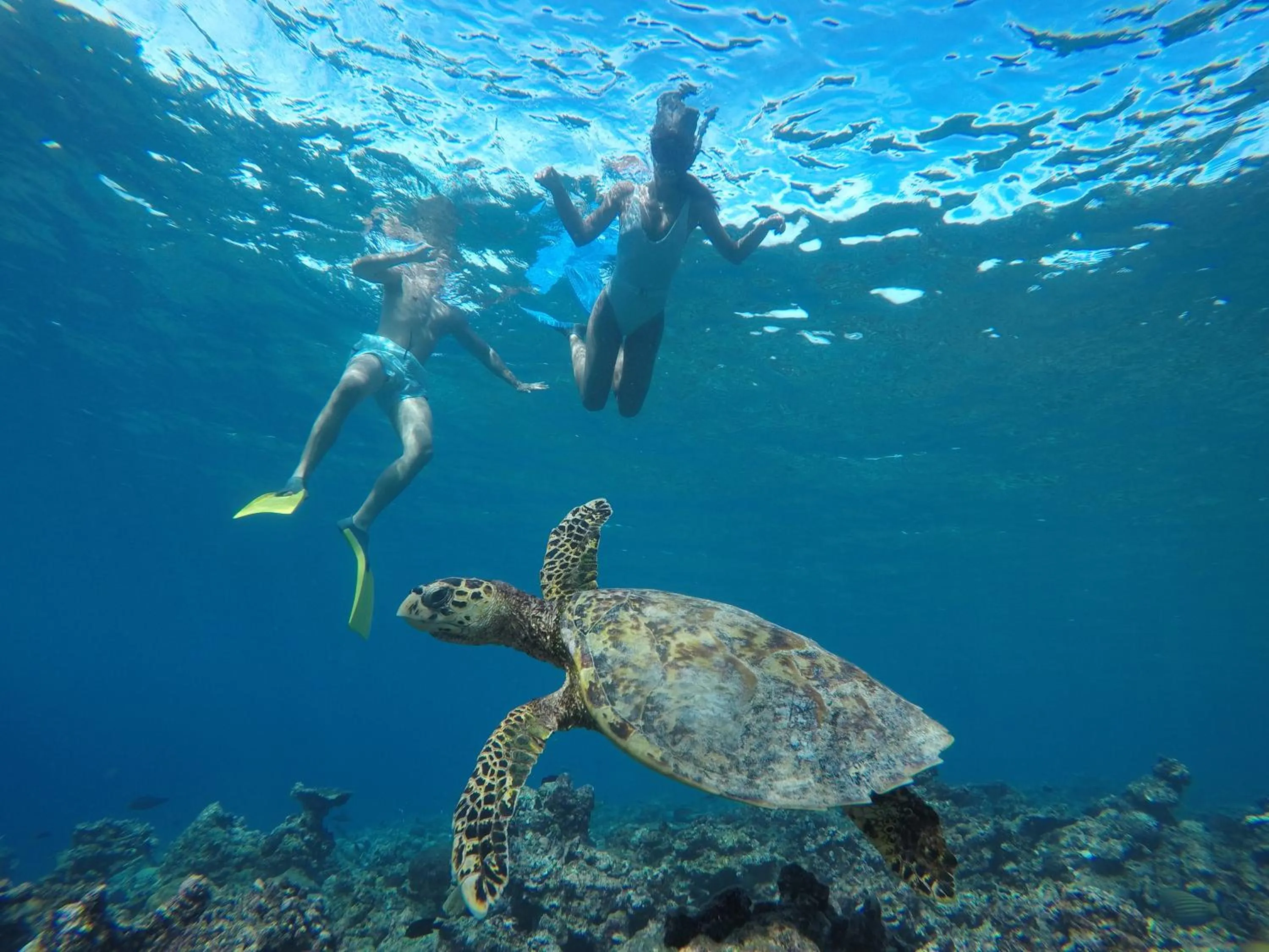 Snorkeling in The Barefoot Eco Hotel