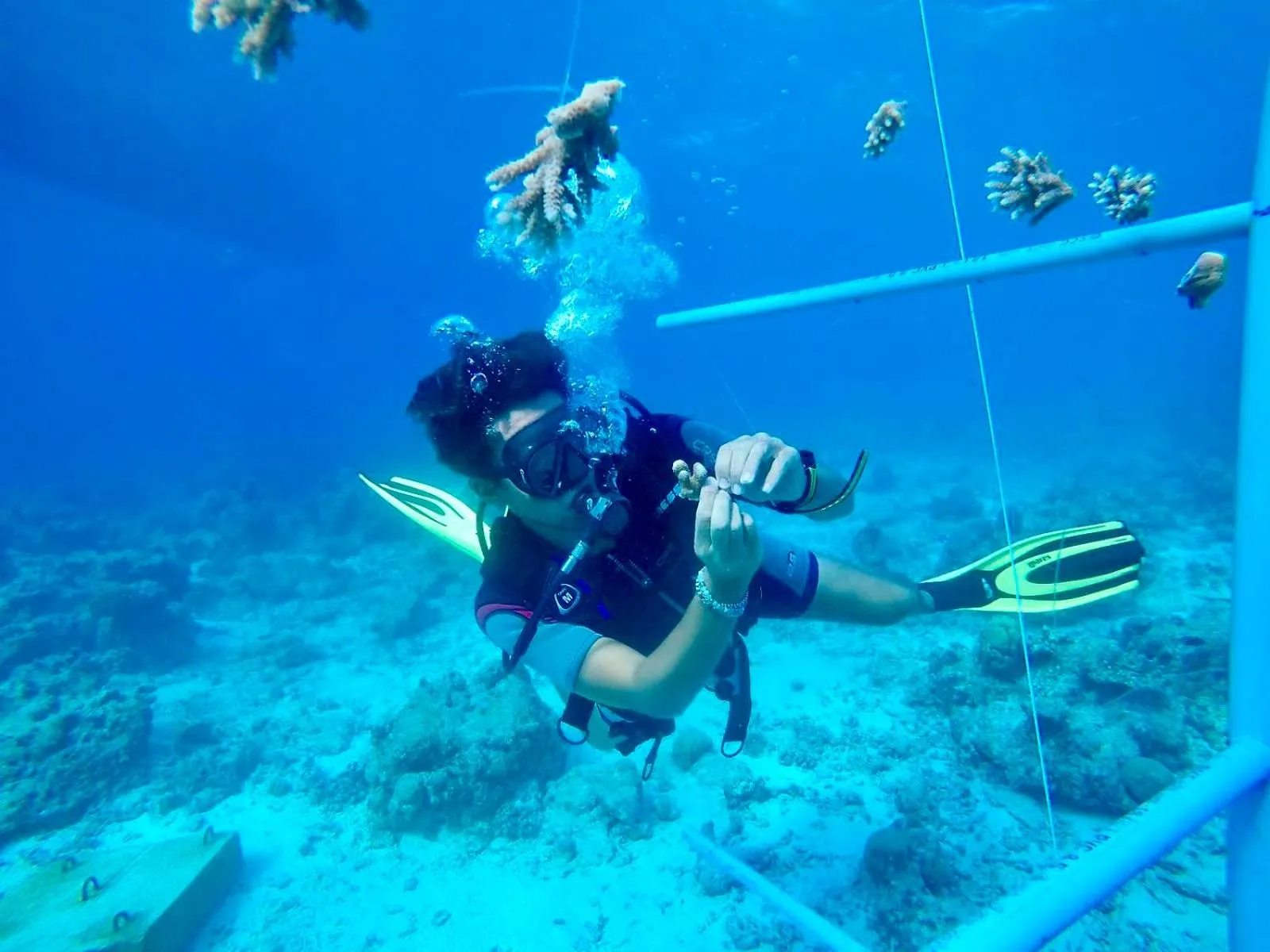 Activities in The Barefoot Eco Hotel