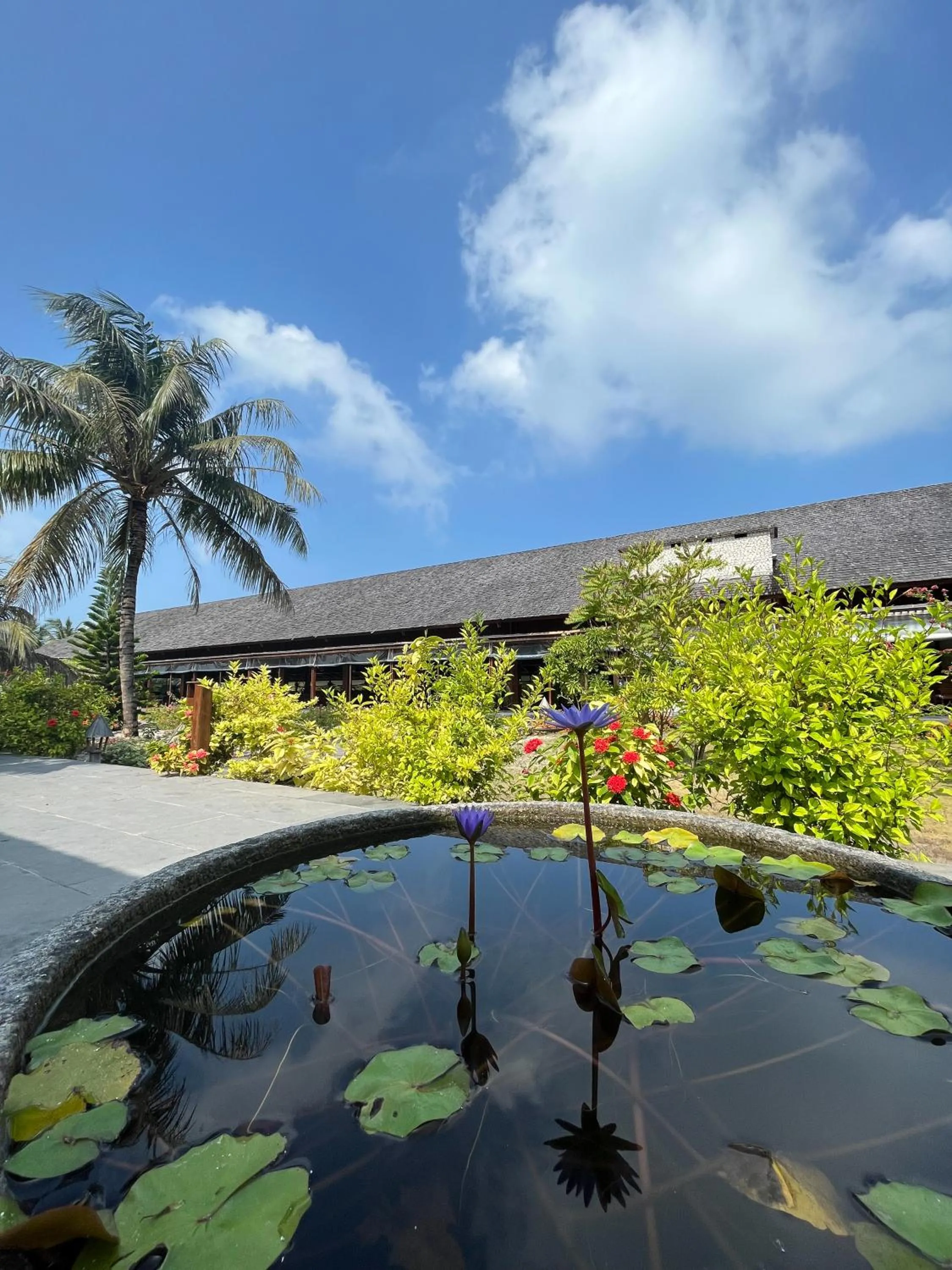 Garden in The Barefoot Eco Hotel
