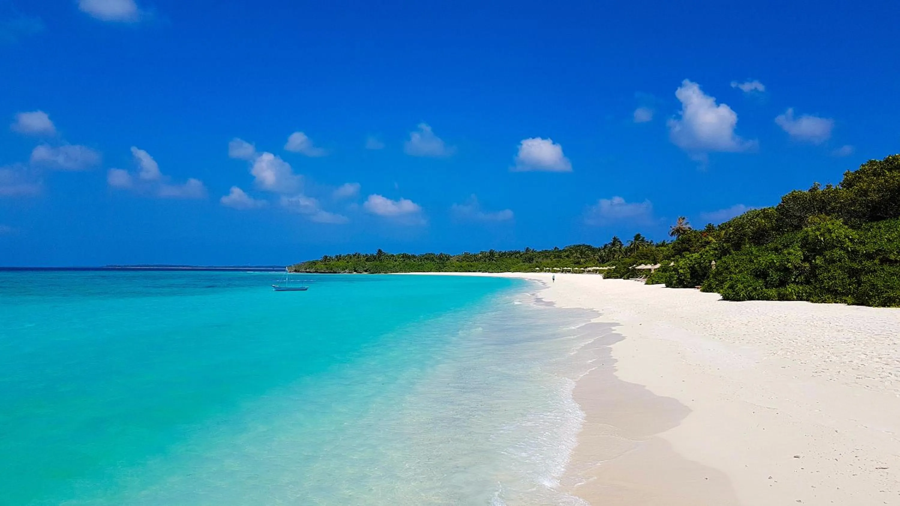 Natural landscape in The Barefoot Eco Hotel