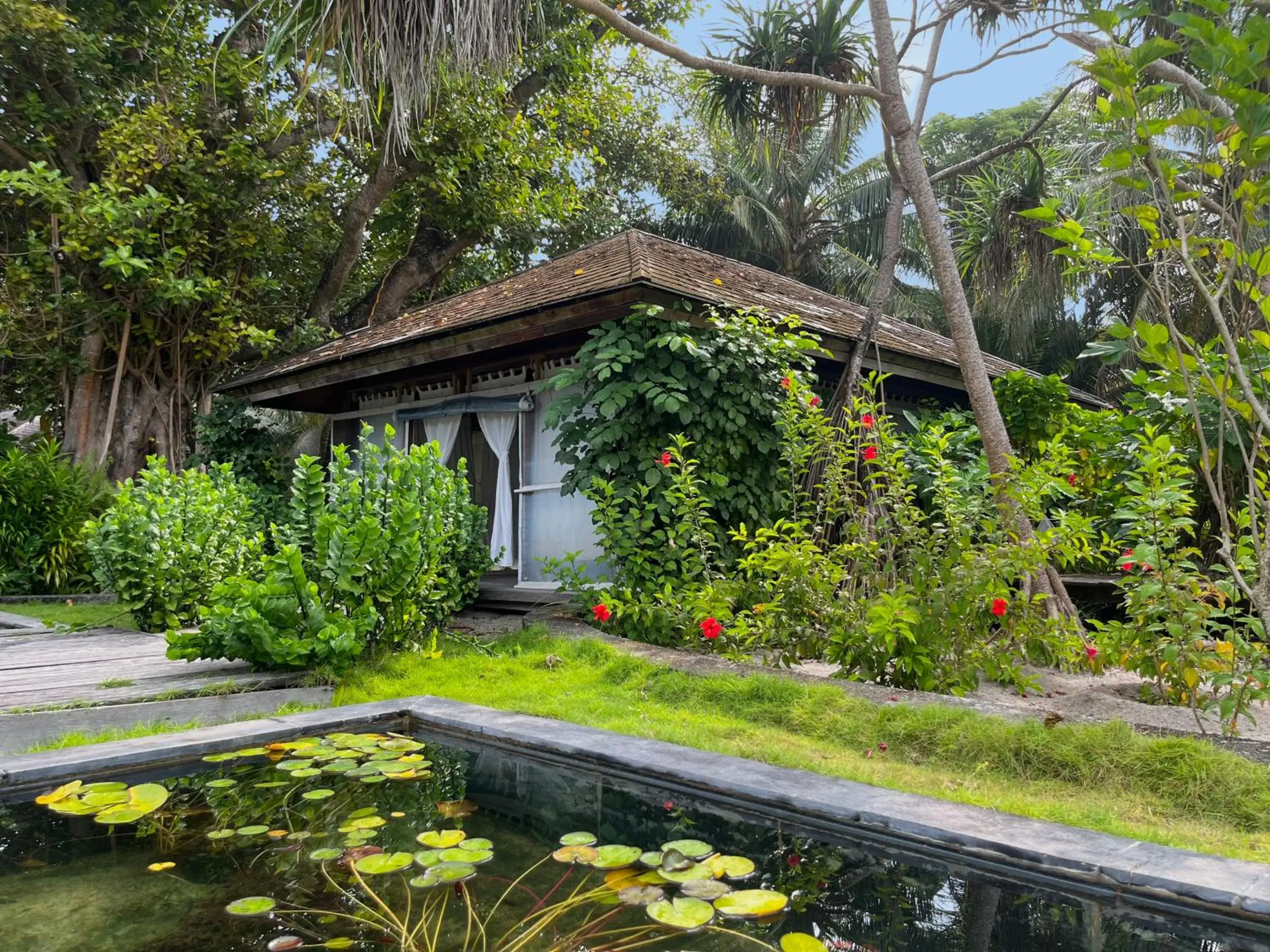 Spa and wellness centre/facilities in The Barefoot Eco Hotel Spa and wellness centre/facilities in The Barefoot Eco Hotel