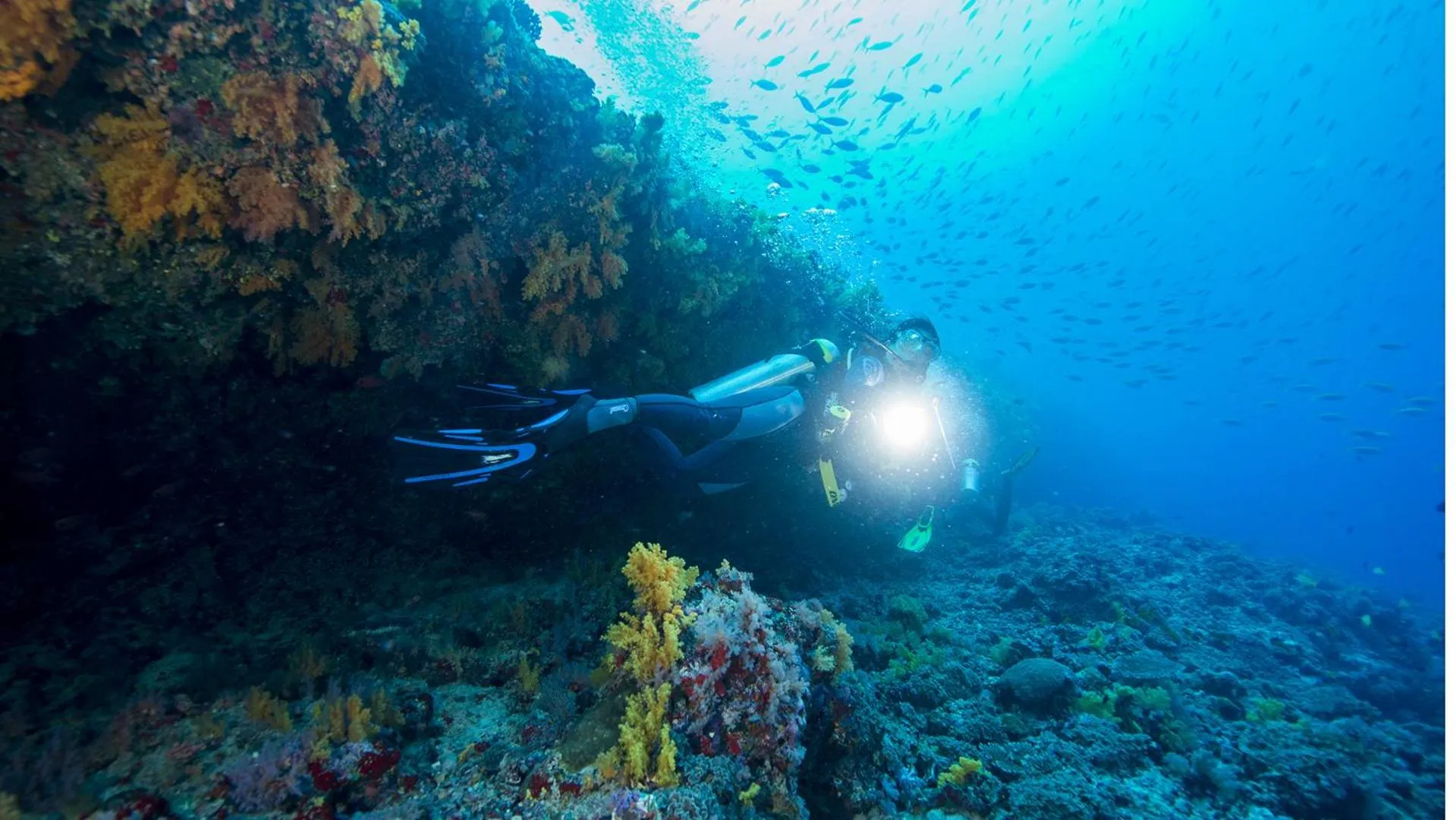 Diving in The Barefoot Eco Hotel