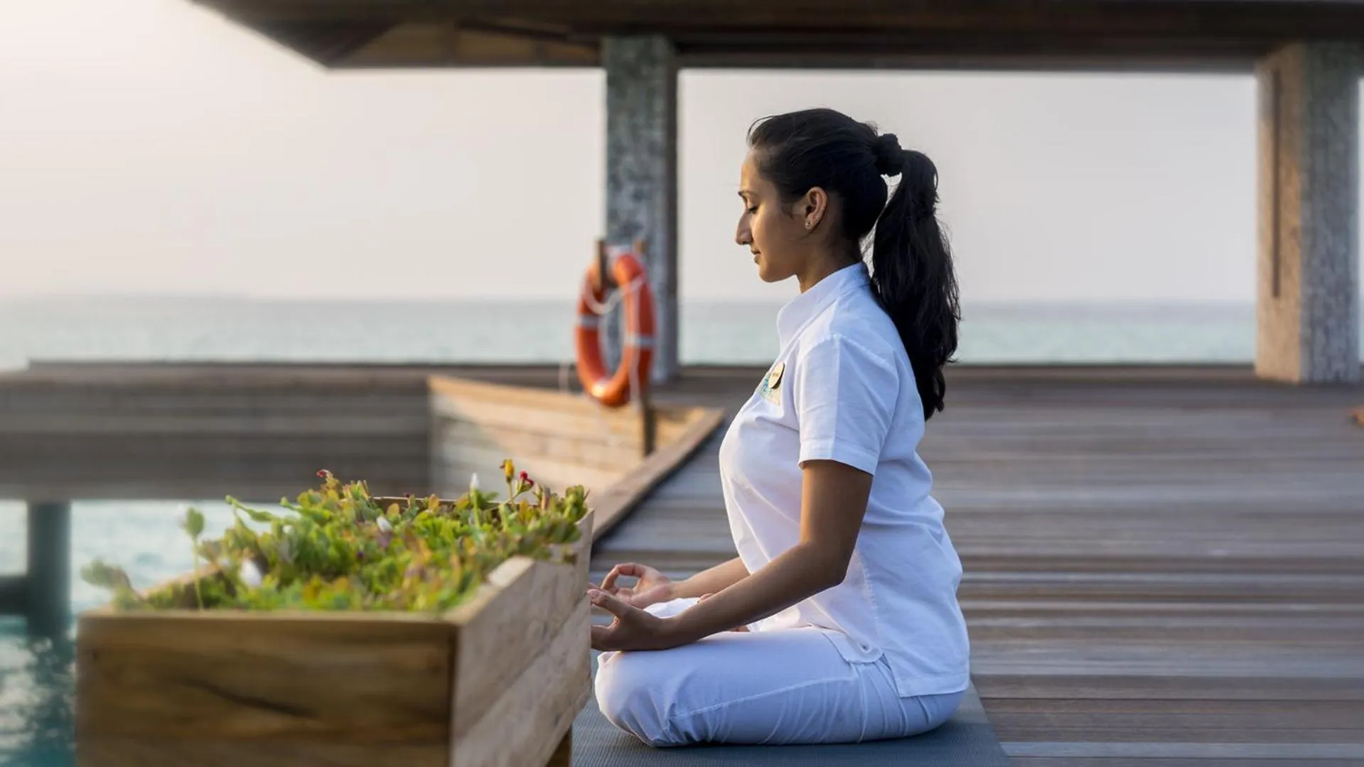 Other in The Barefoot Eco Hotel