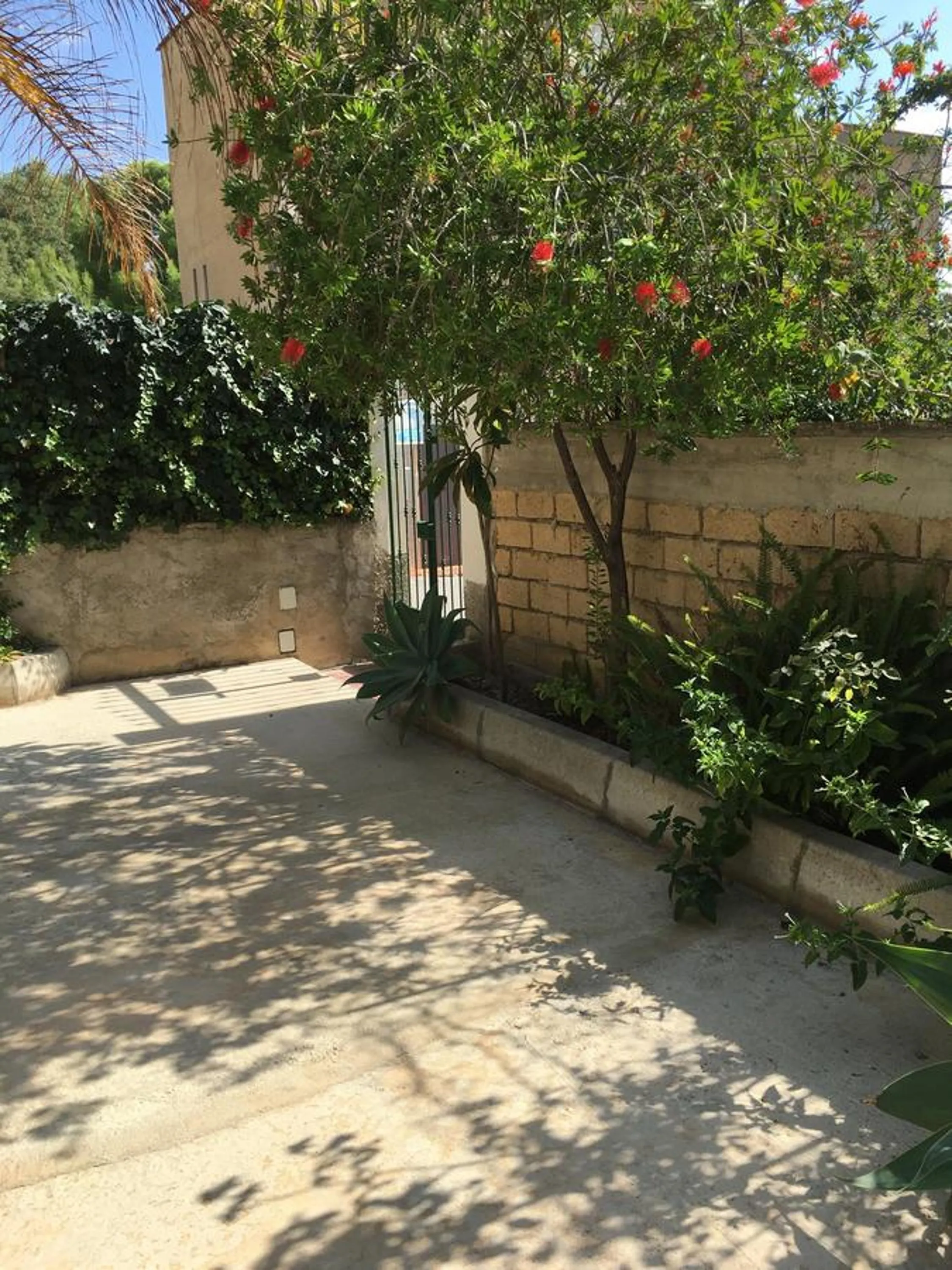 Garden in B&B Scala dei Turchi Beach