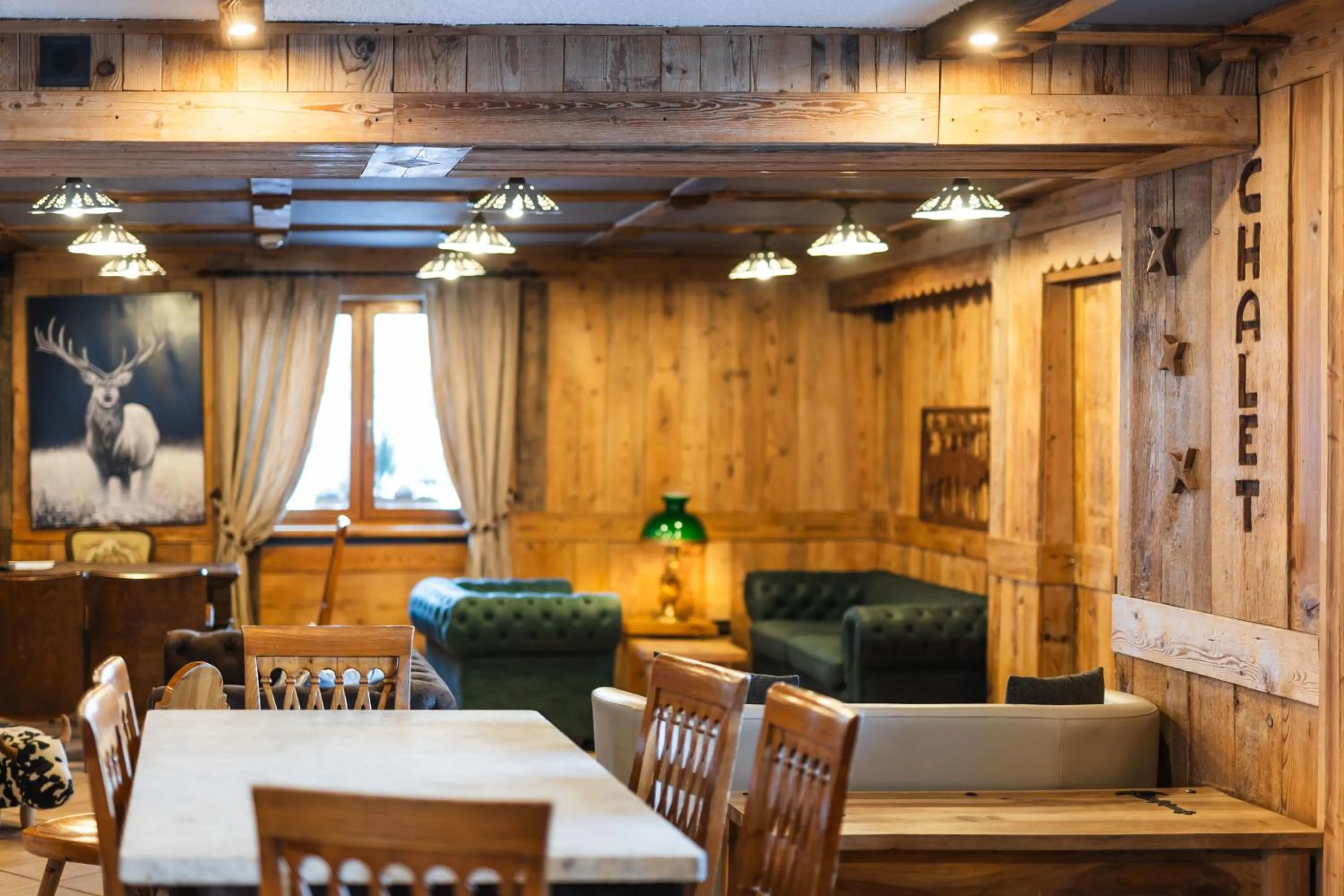 Living room in CHALET DES ALPES