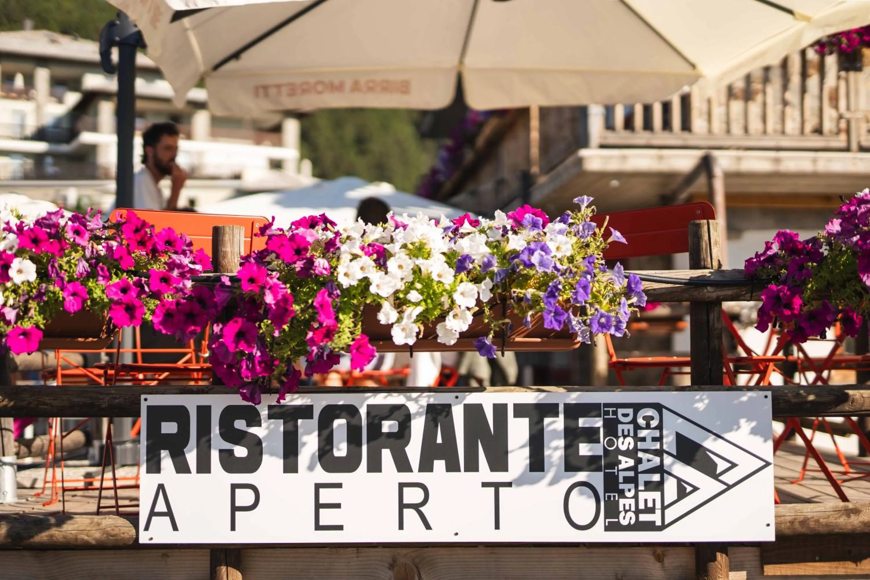 Property logo or sign in CHALET DES ALPES