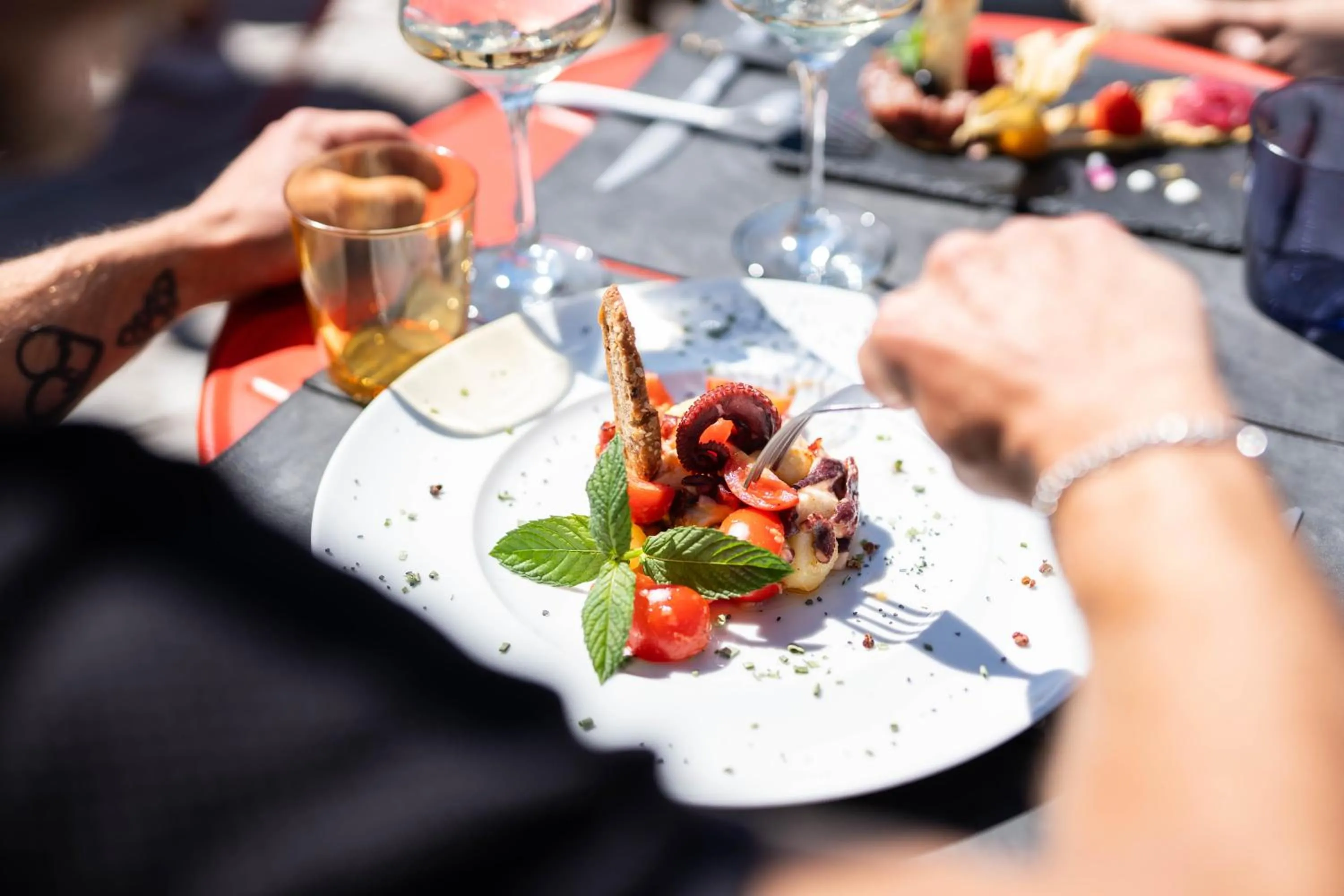 Food and drinks in CHALET DES ALPES