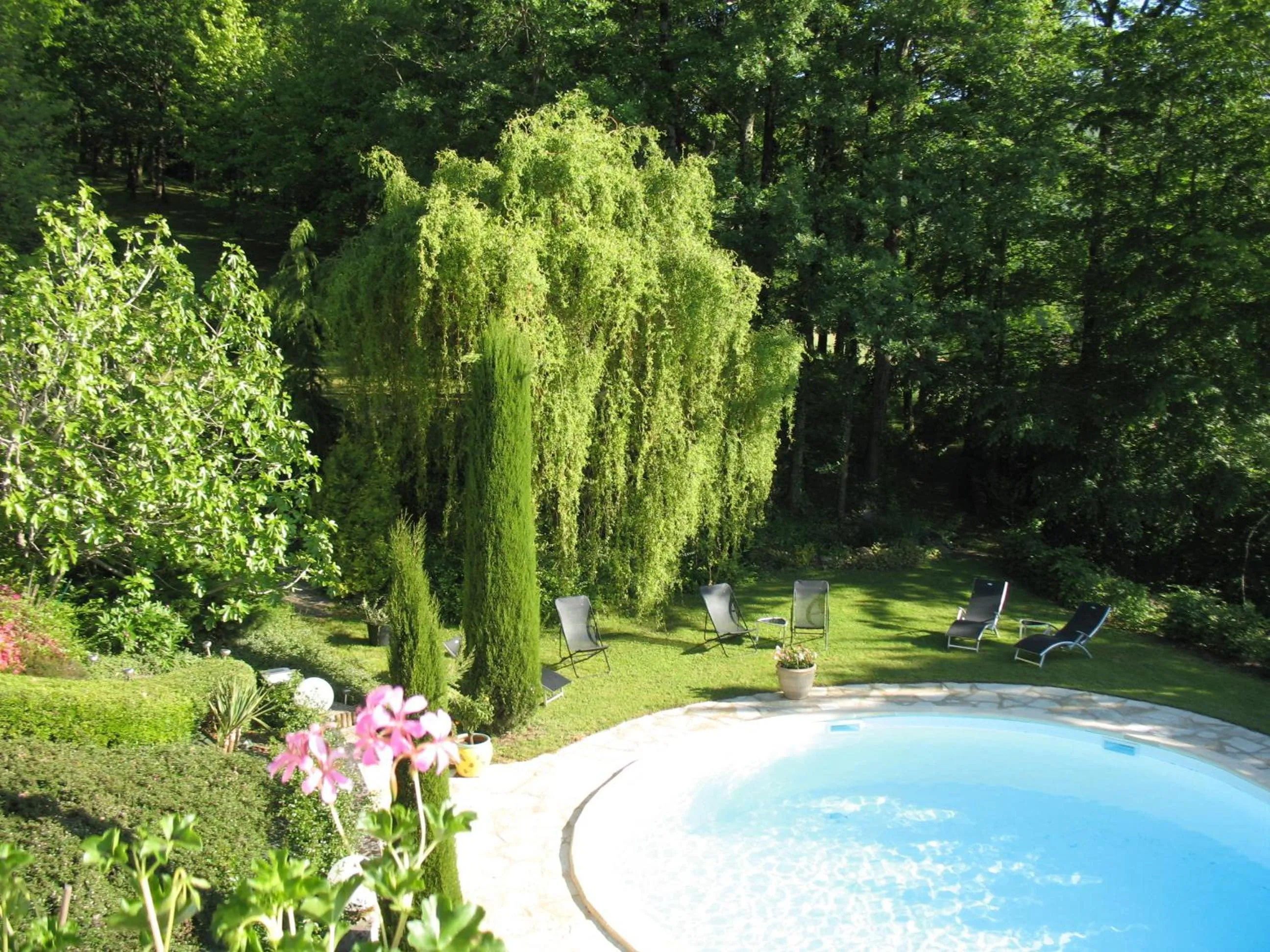Garden in Villa Ric