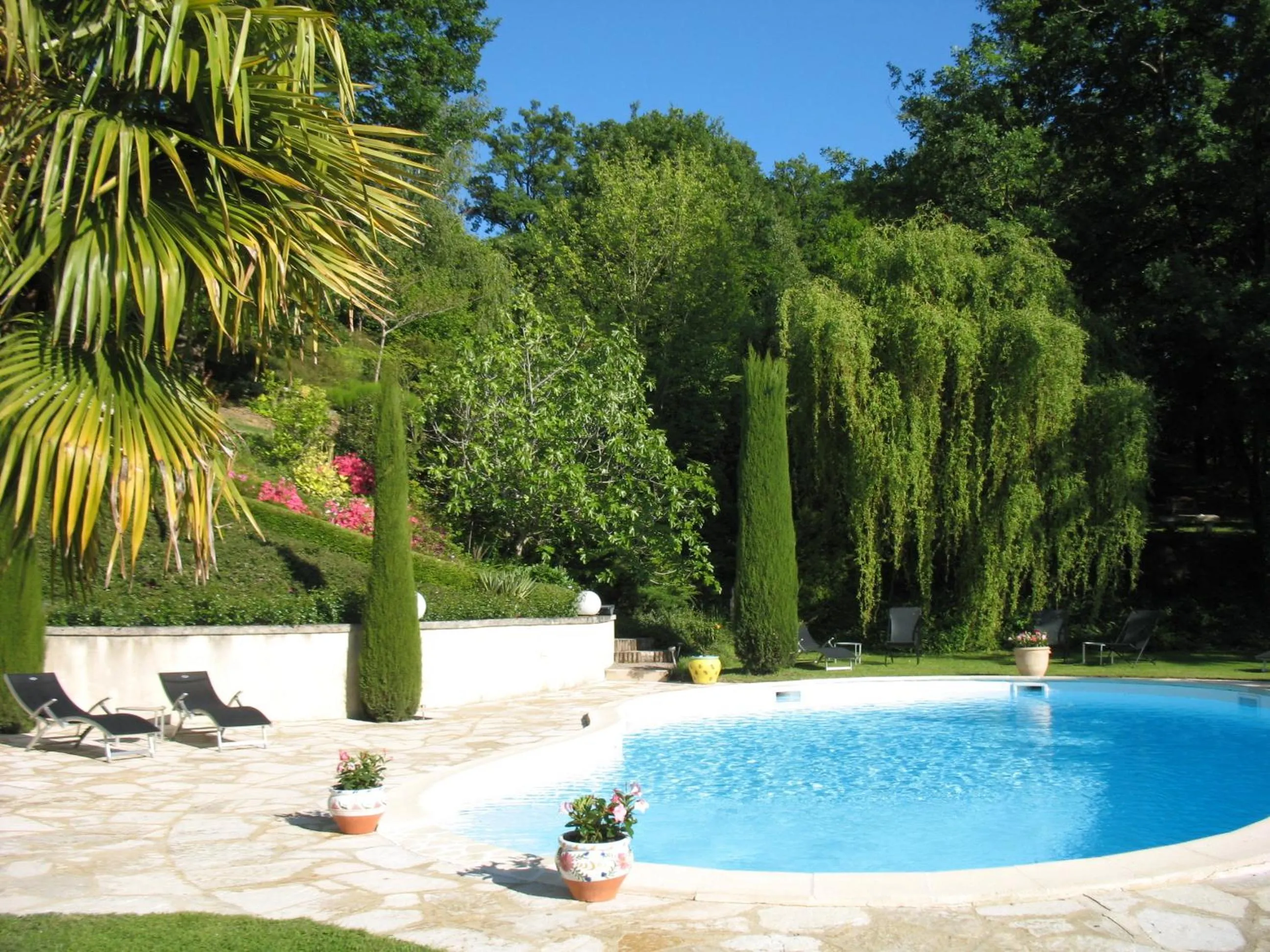 Garden in Villa Ric