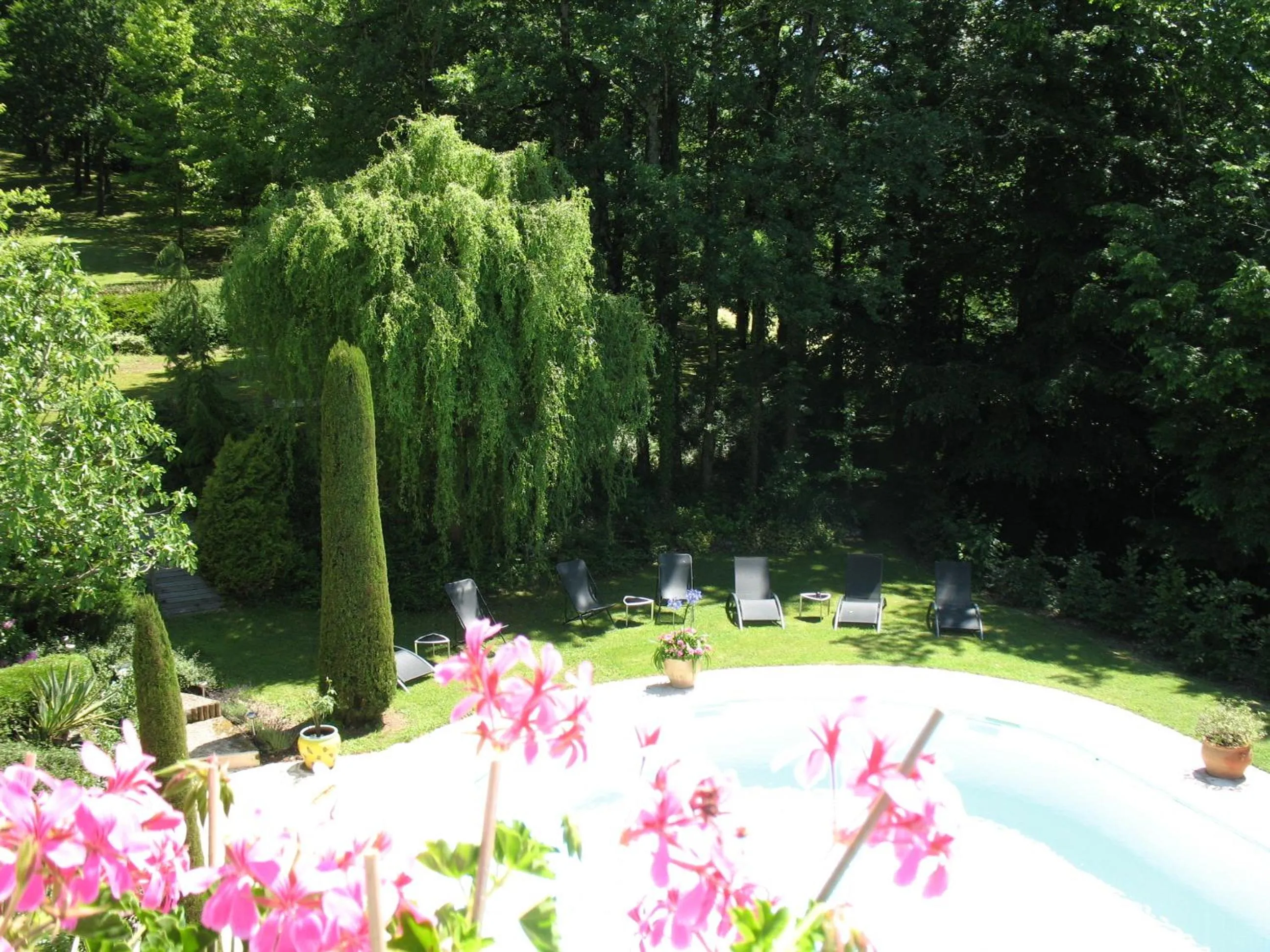 Garden in Villa Ric
