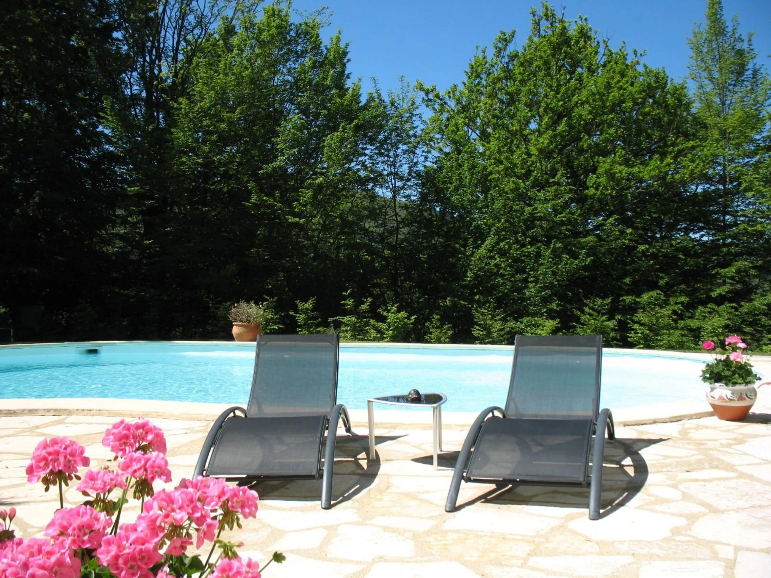 Swimming pool in Villa Ric