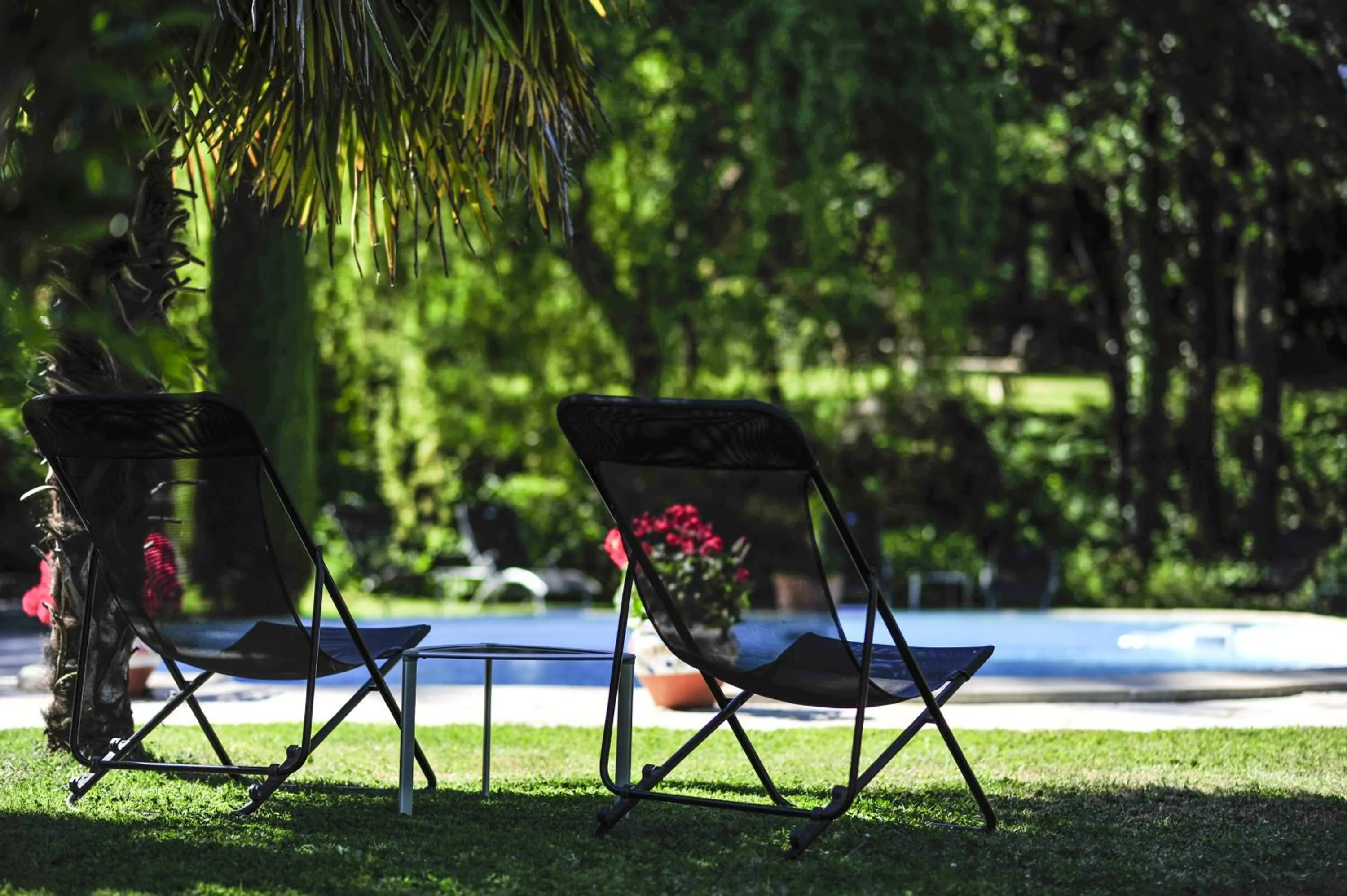 Natural landscape in Villa Ric