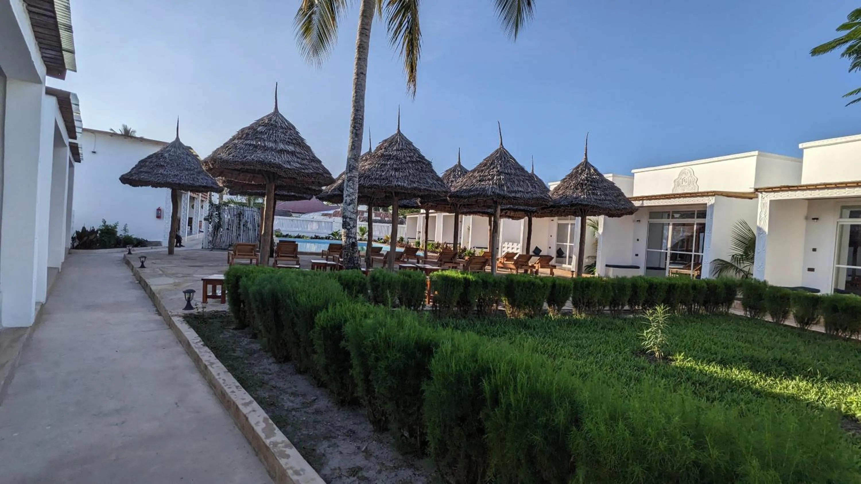 Garden view in Mafia Dream Hotel