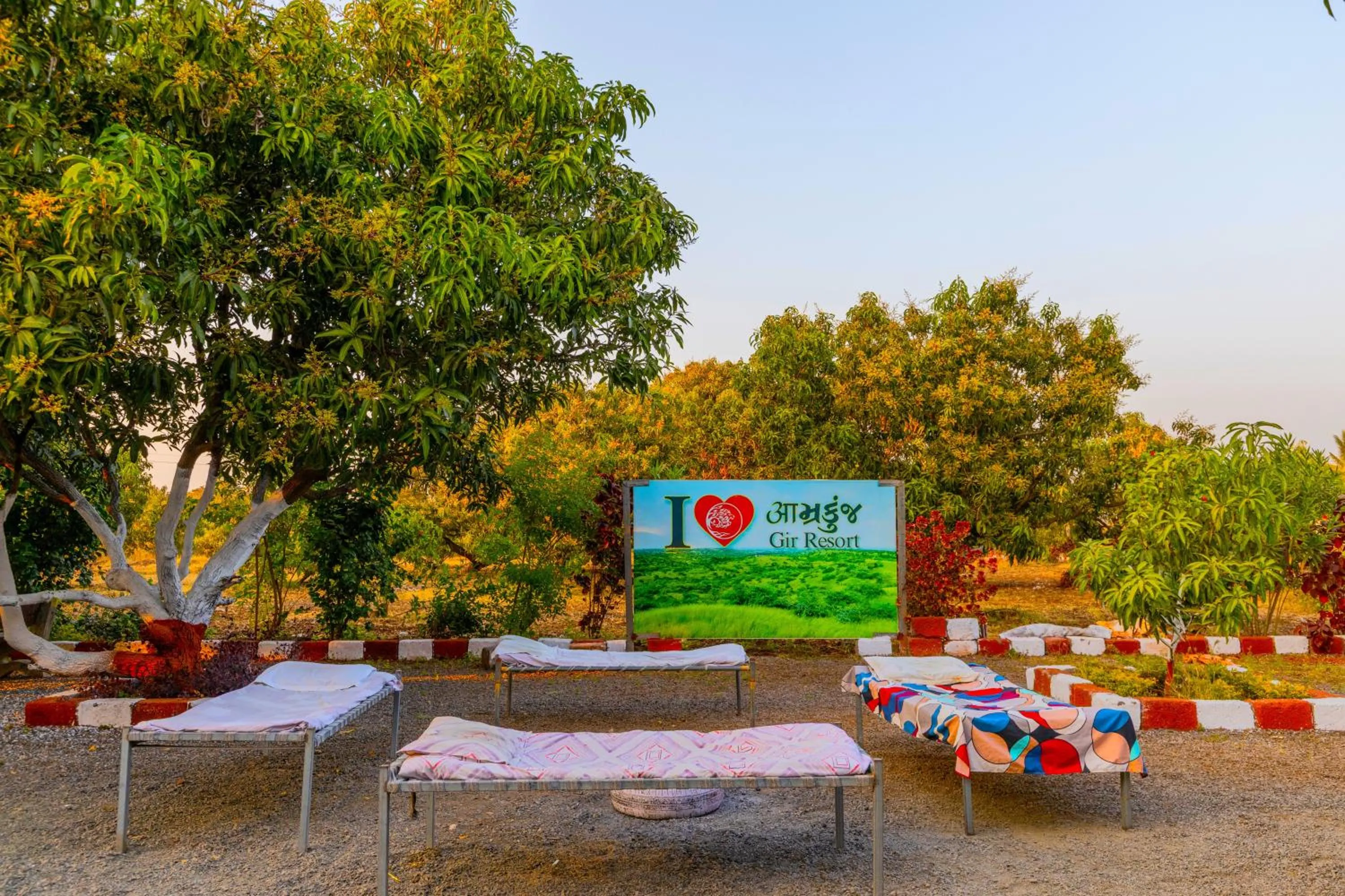 Natural landscape in AamraKunj Gir Resort