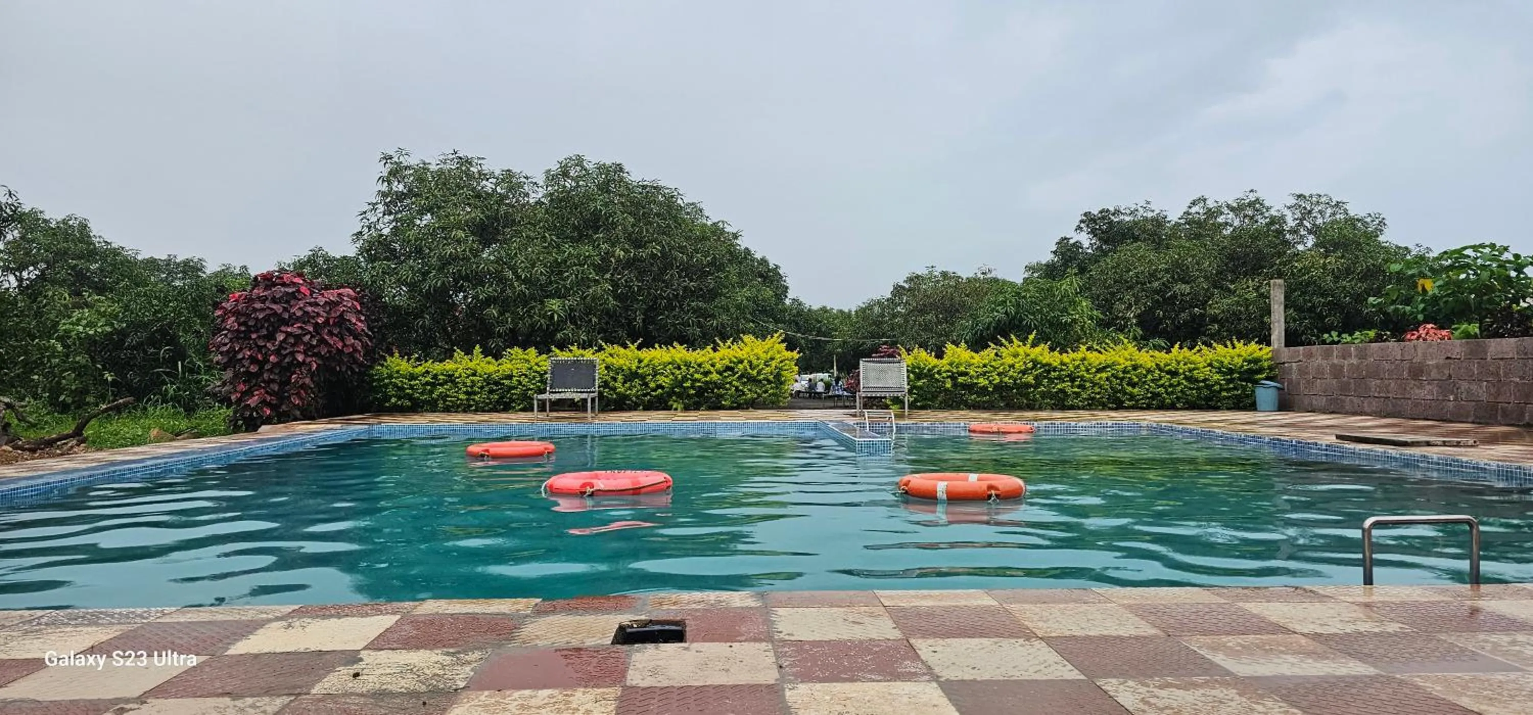 Swimming pool in AamraKunj Gir Resort