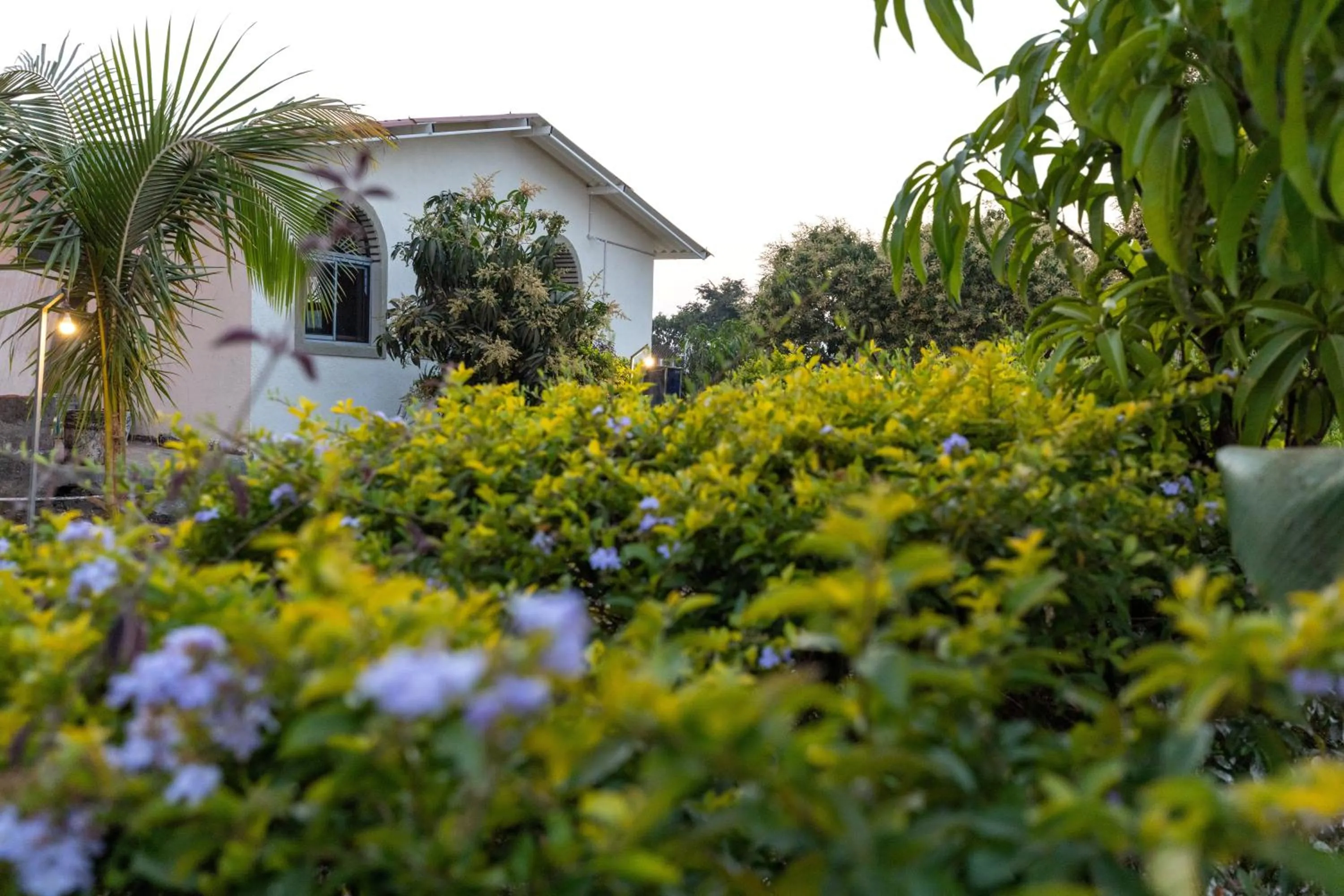 Spring in AamraKunj Gir Resort