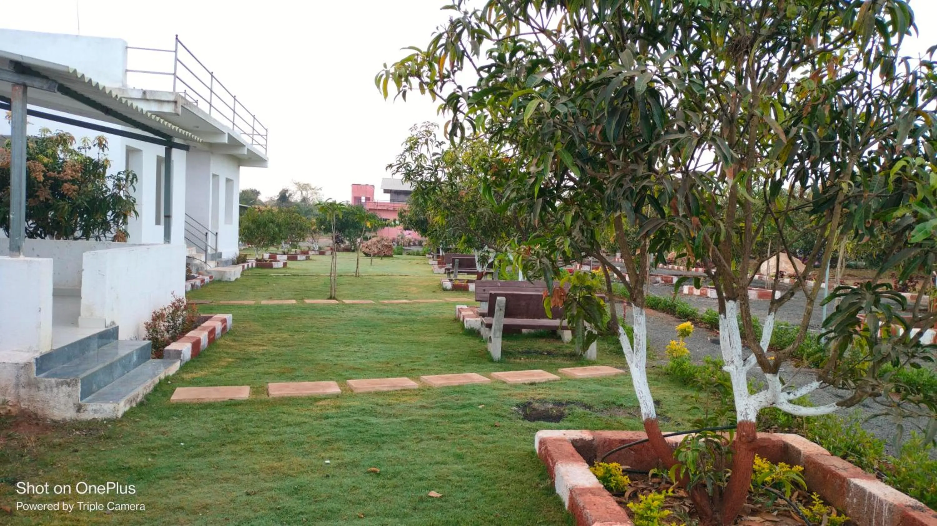 Day in AamraKunj Gir Resort