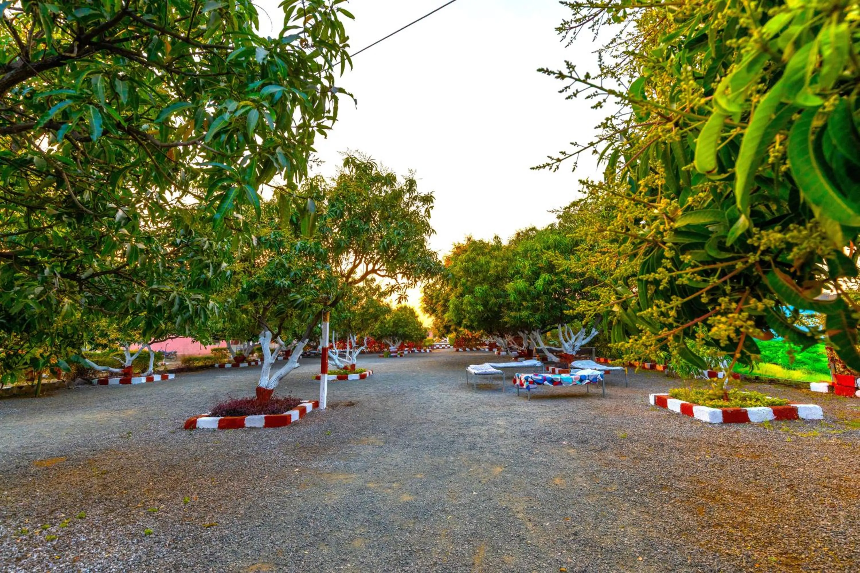 Natural landscape in AamraKunj Gir Resort