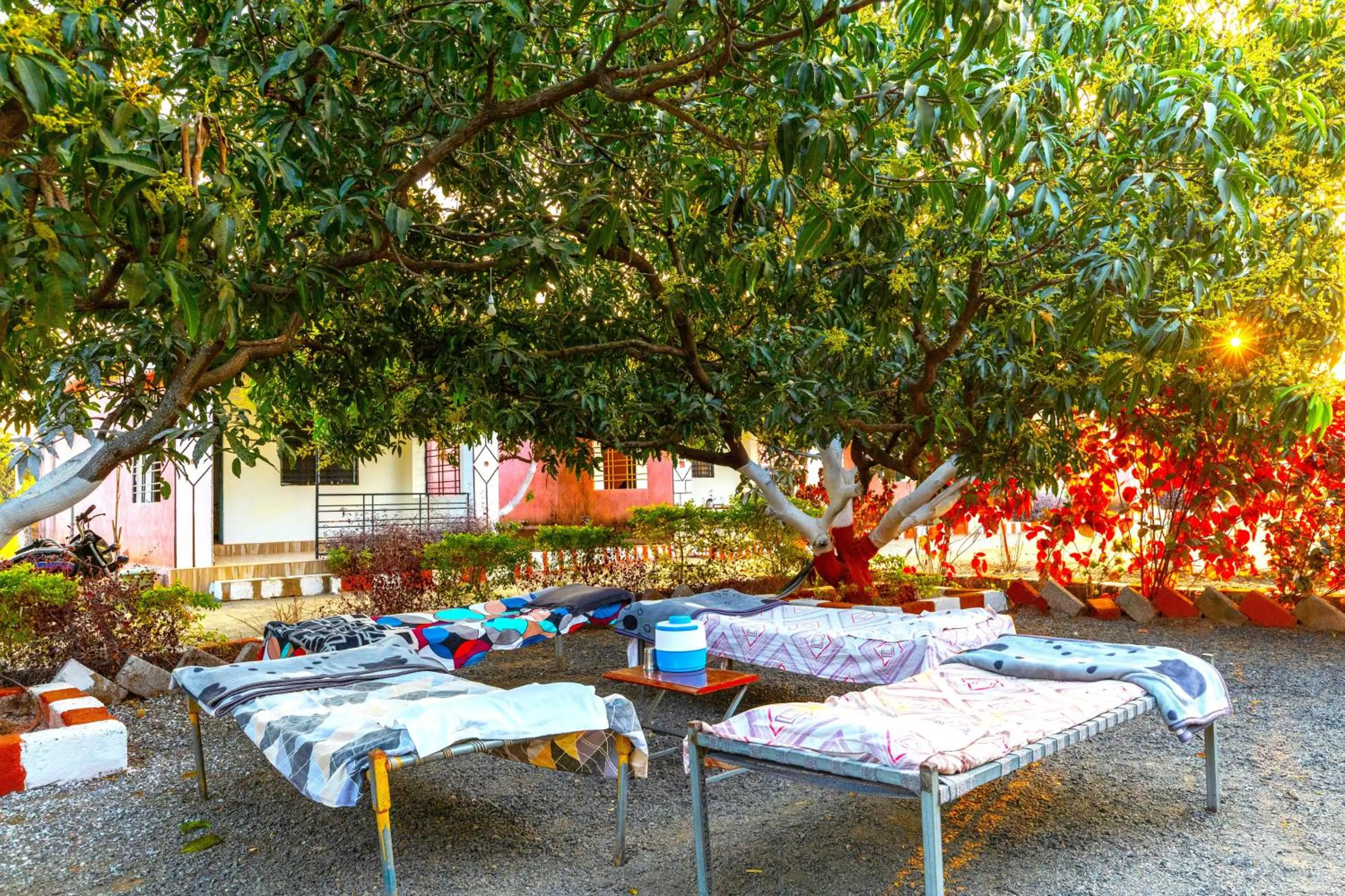 Garden in AamraKunj Gir Resort