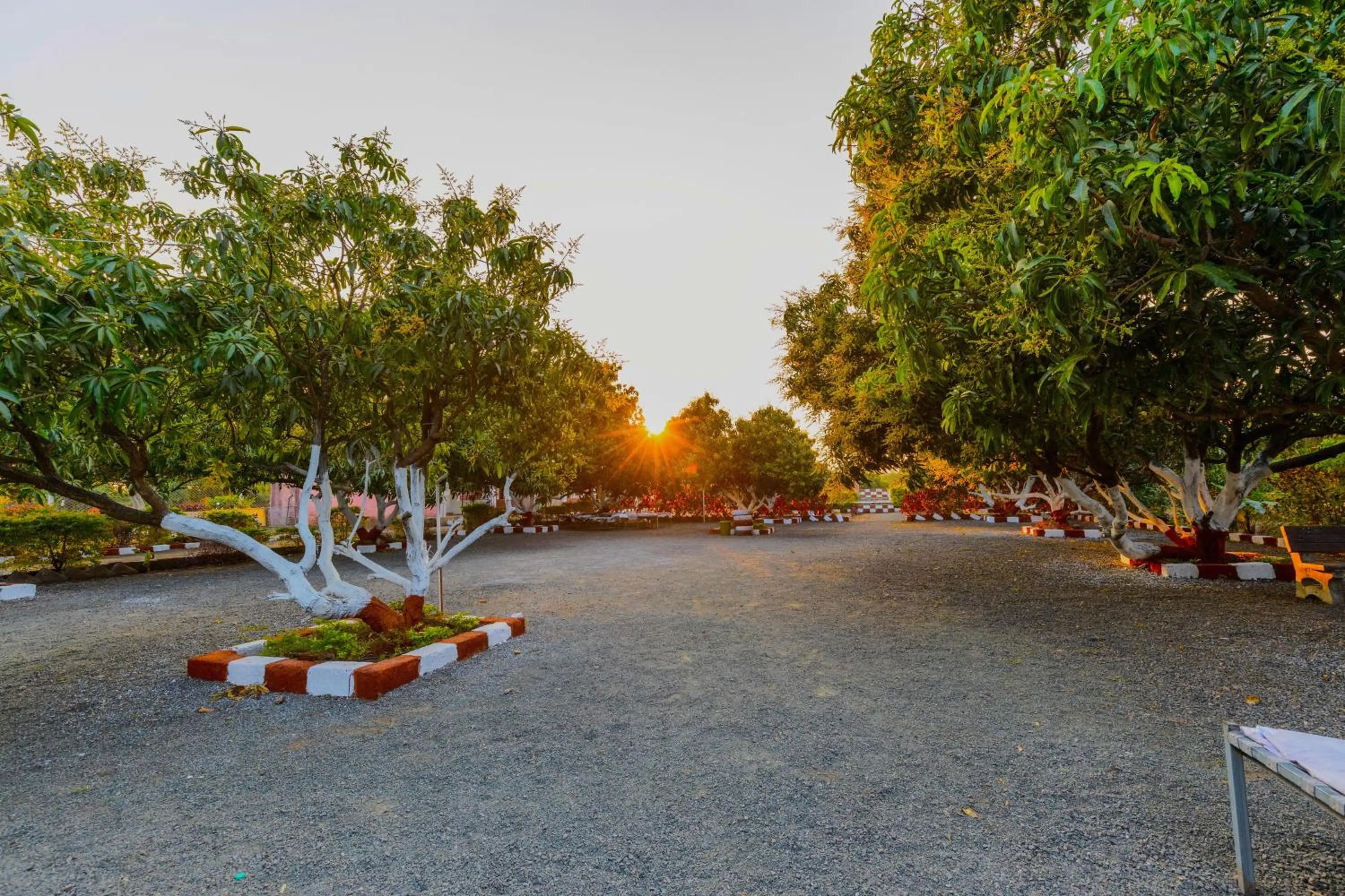 Natural landscape in AamraKunj Gir Resort
