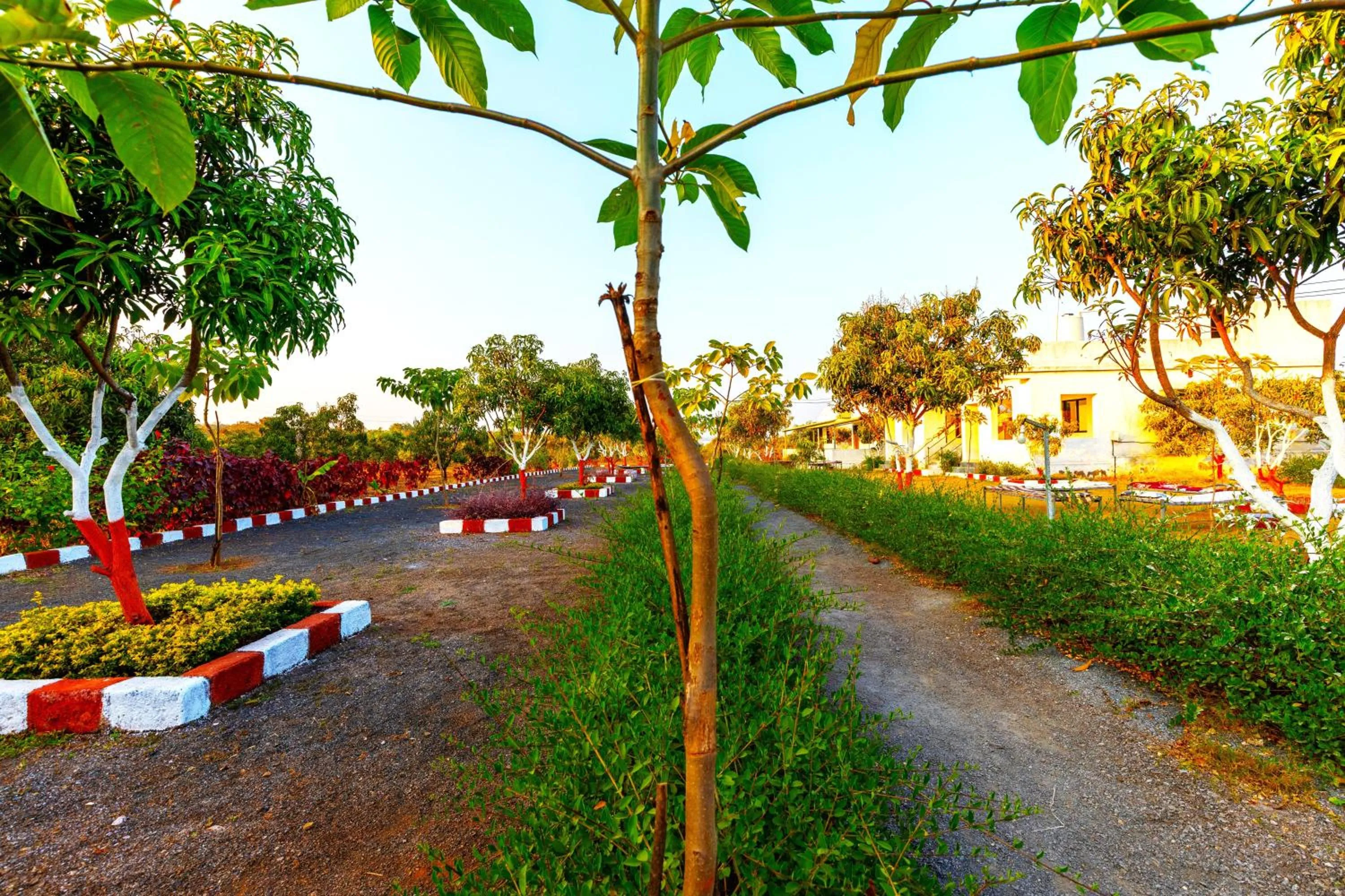 Neighbourhood in AamraKunj Gir Resort