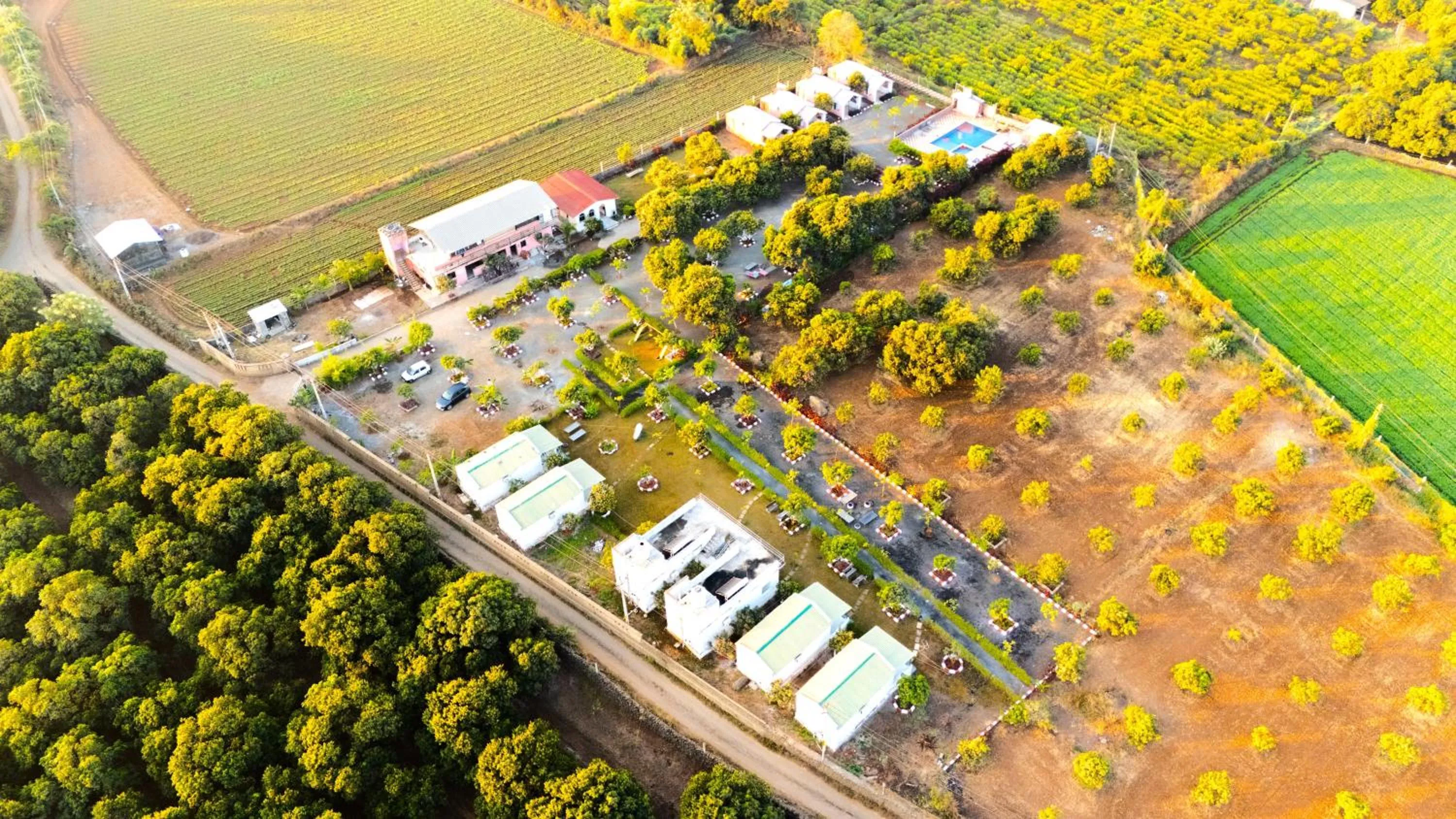 Natural landscape in AamraKunj Gir Resort