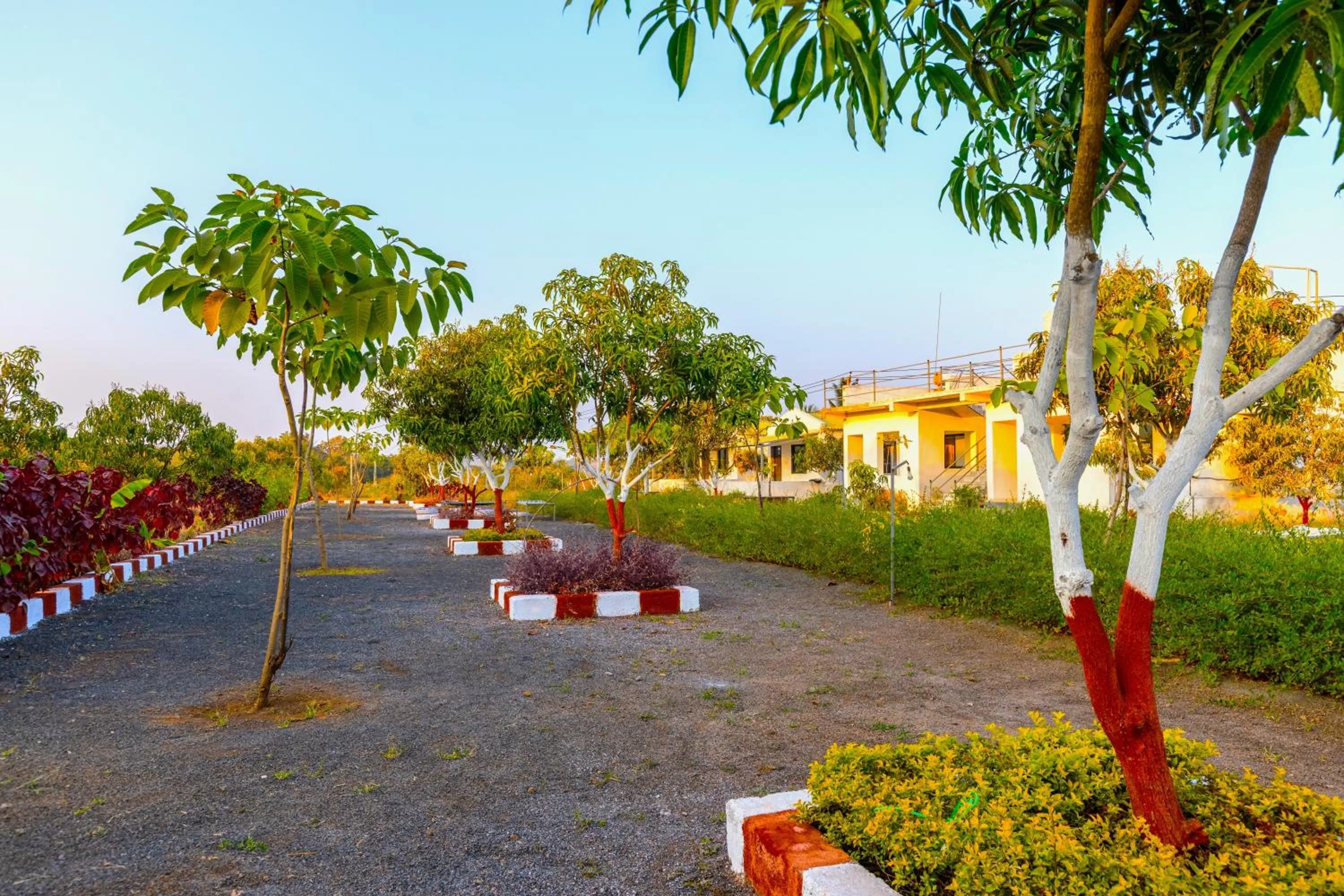 Spring in AamraKunj Gir Resort