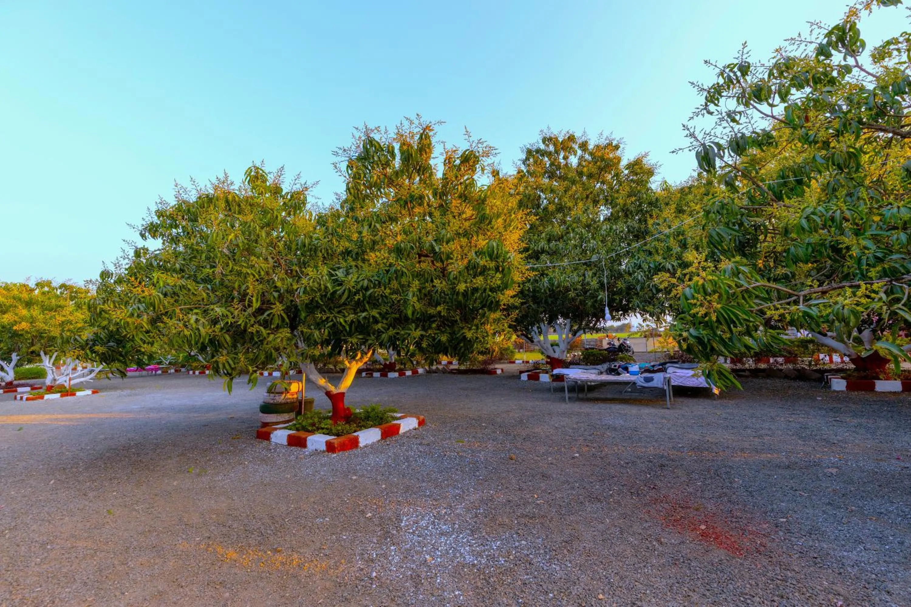 Natural landscape in AamraKunj Gir Resort