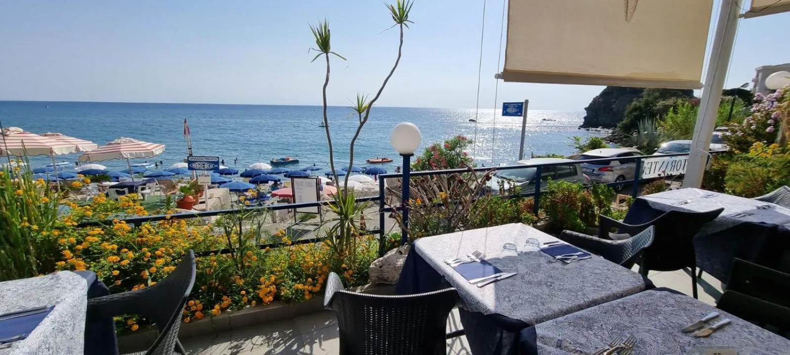 Restaurant/places to eat in Hotel Ristorante Mareblu