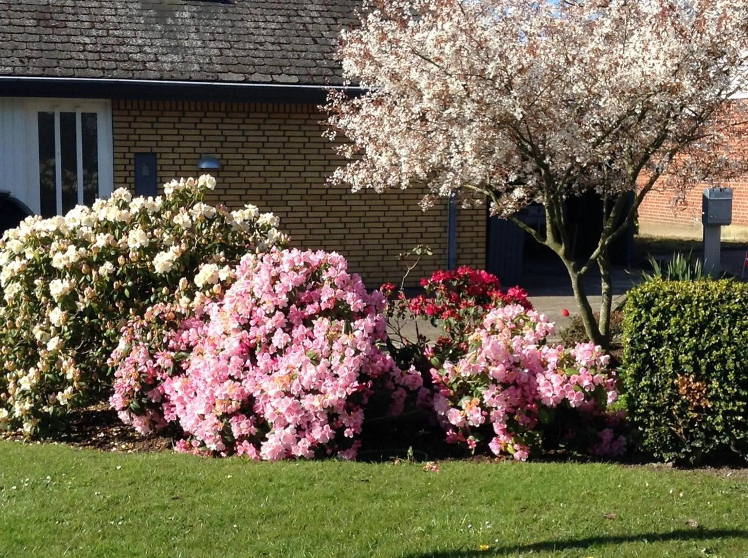 On site in Horsens Room