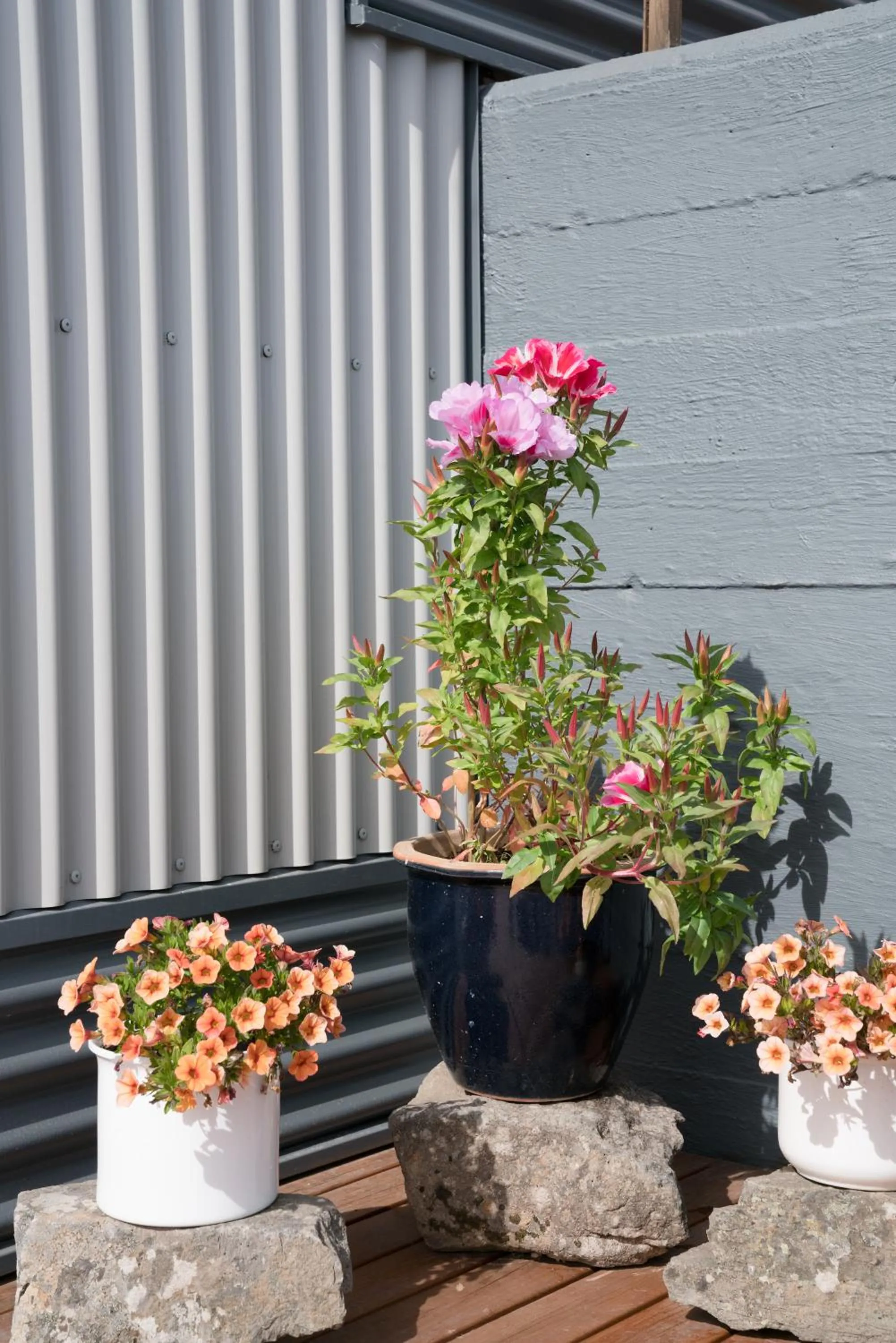 Property building in Hotel West