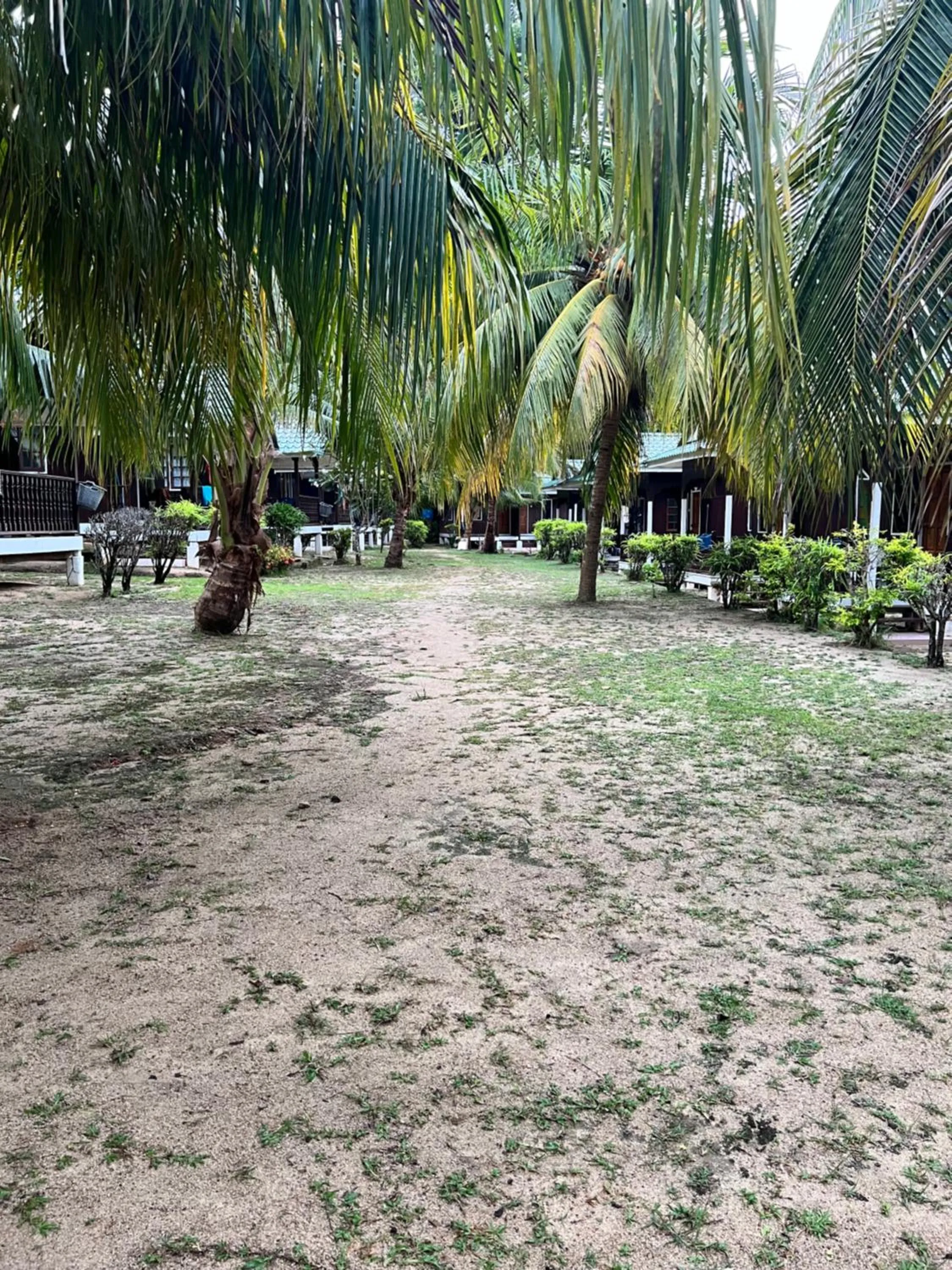 Mama's Chalet Pulau Perhentian Besar